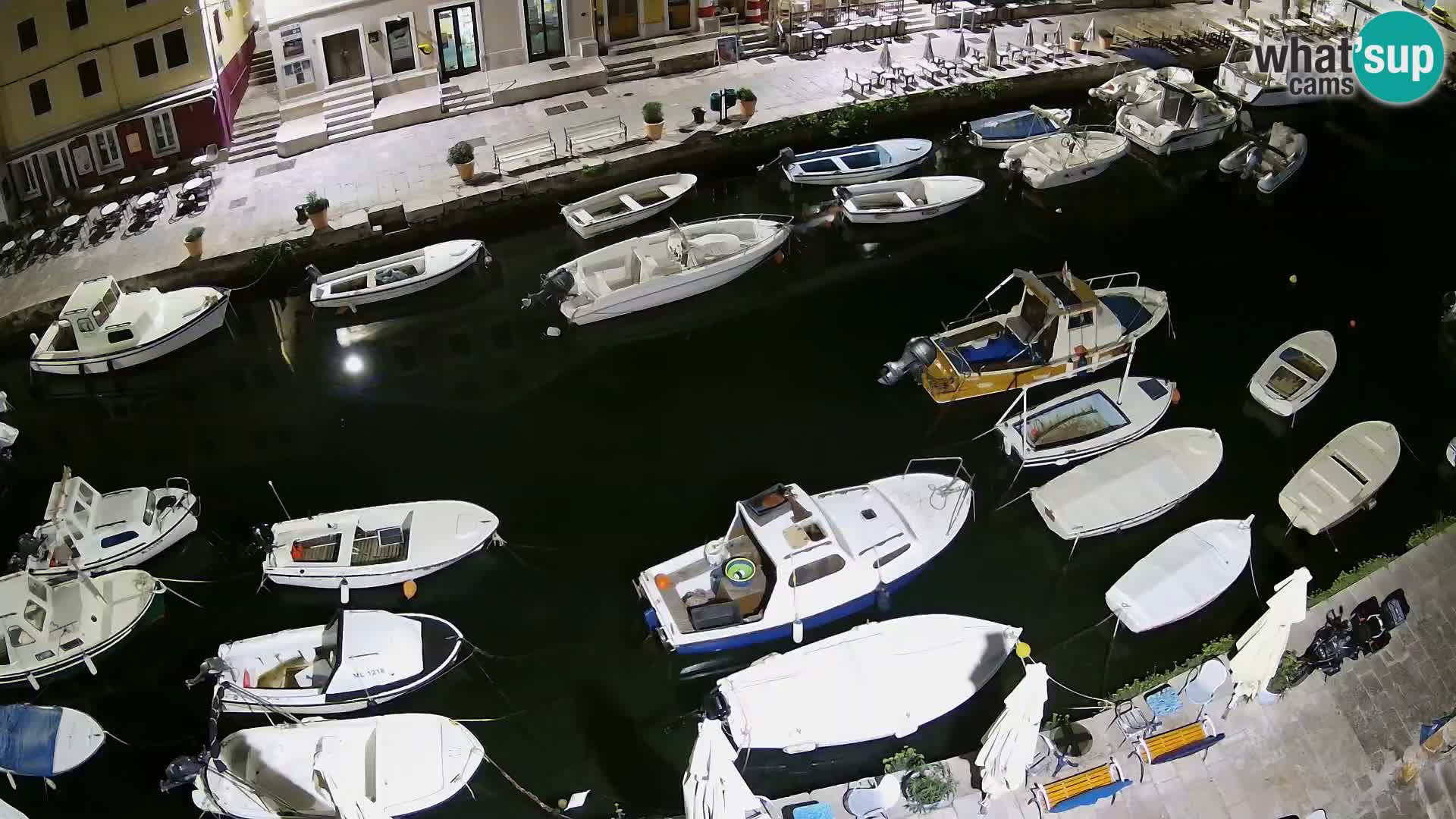 Veli Lošinj livecam – Carre