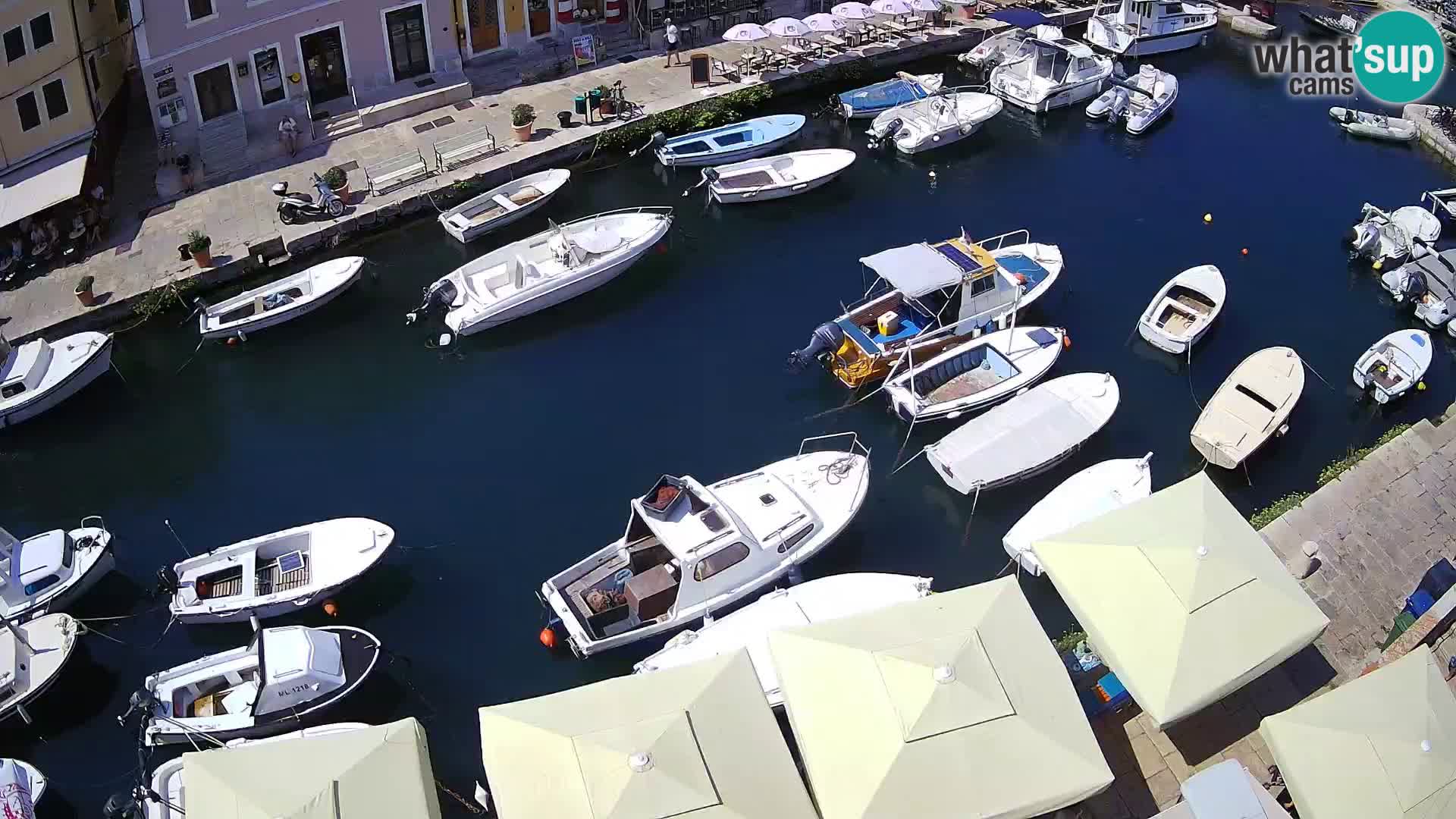 Veli Lošinj livecam – Carre