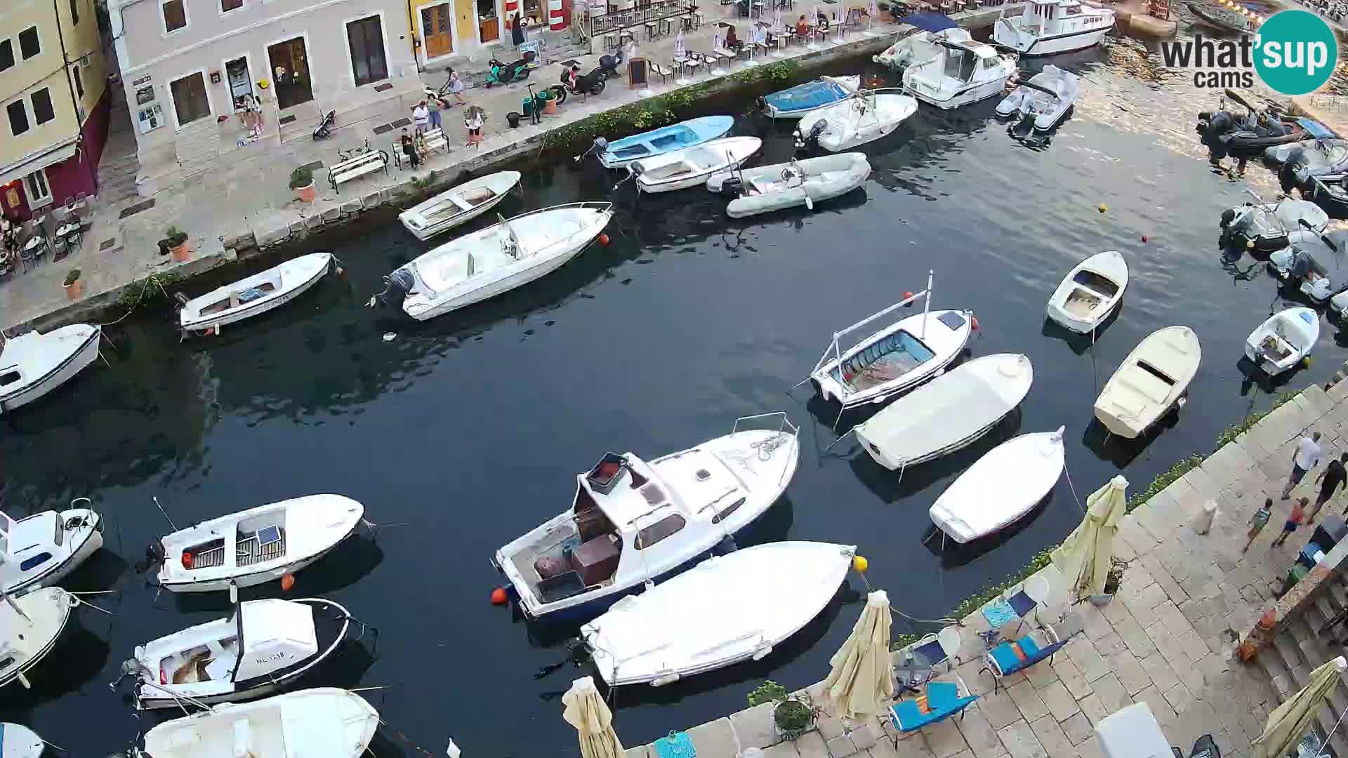 Veli Lošinj livecam – Carre