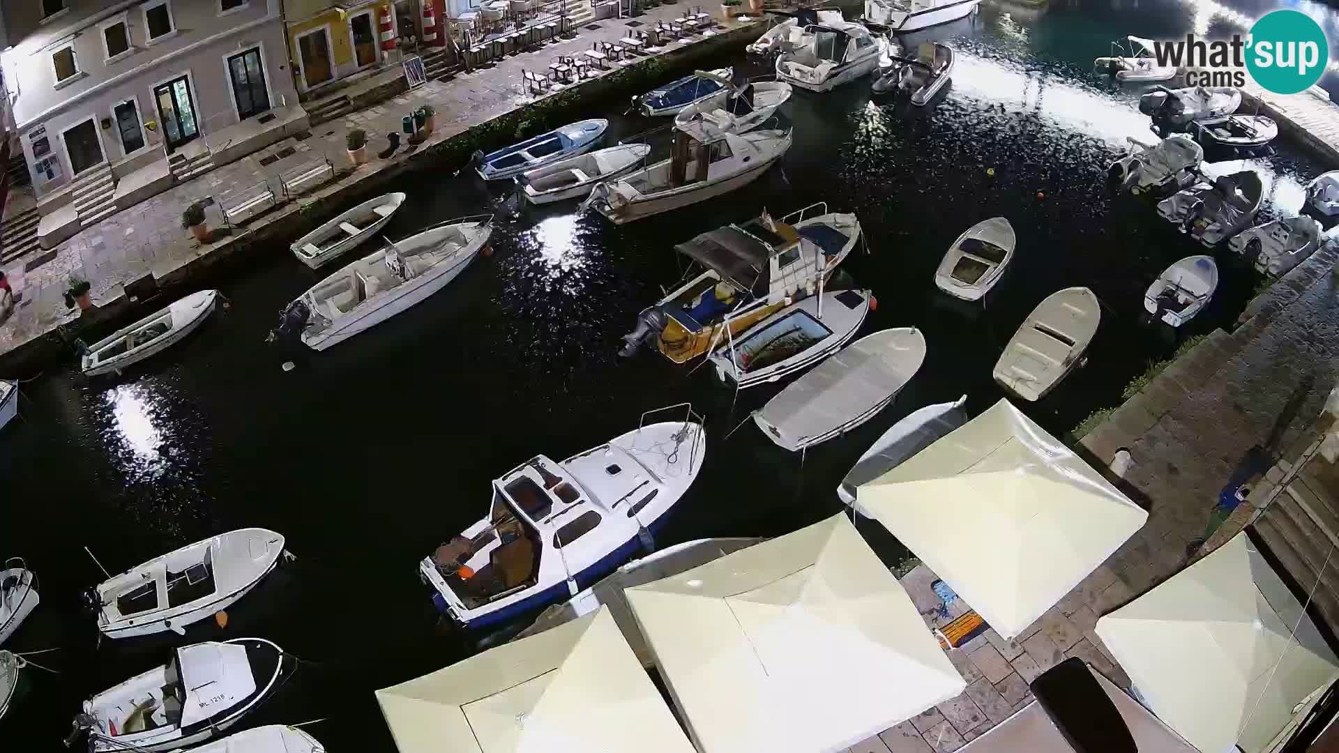 Veli Lošinj livecam – Carre
