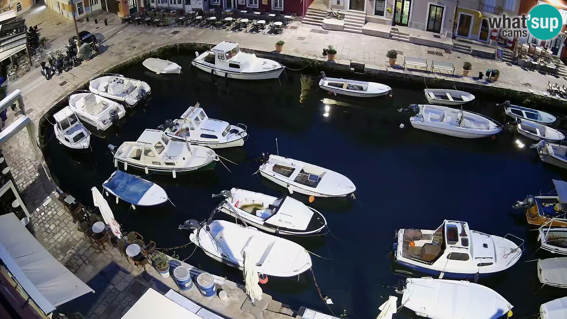 Veli Lošinj camera en vivo – plaza