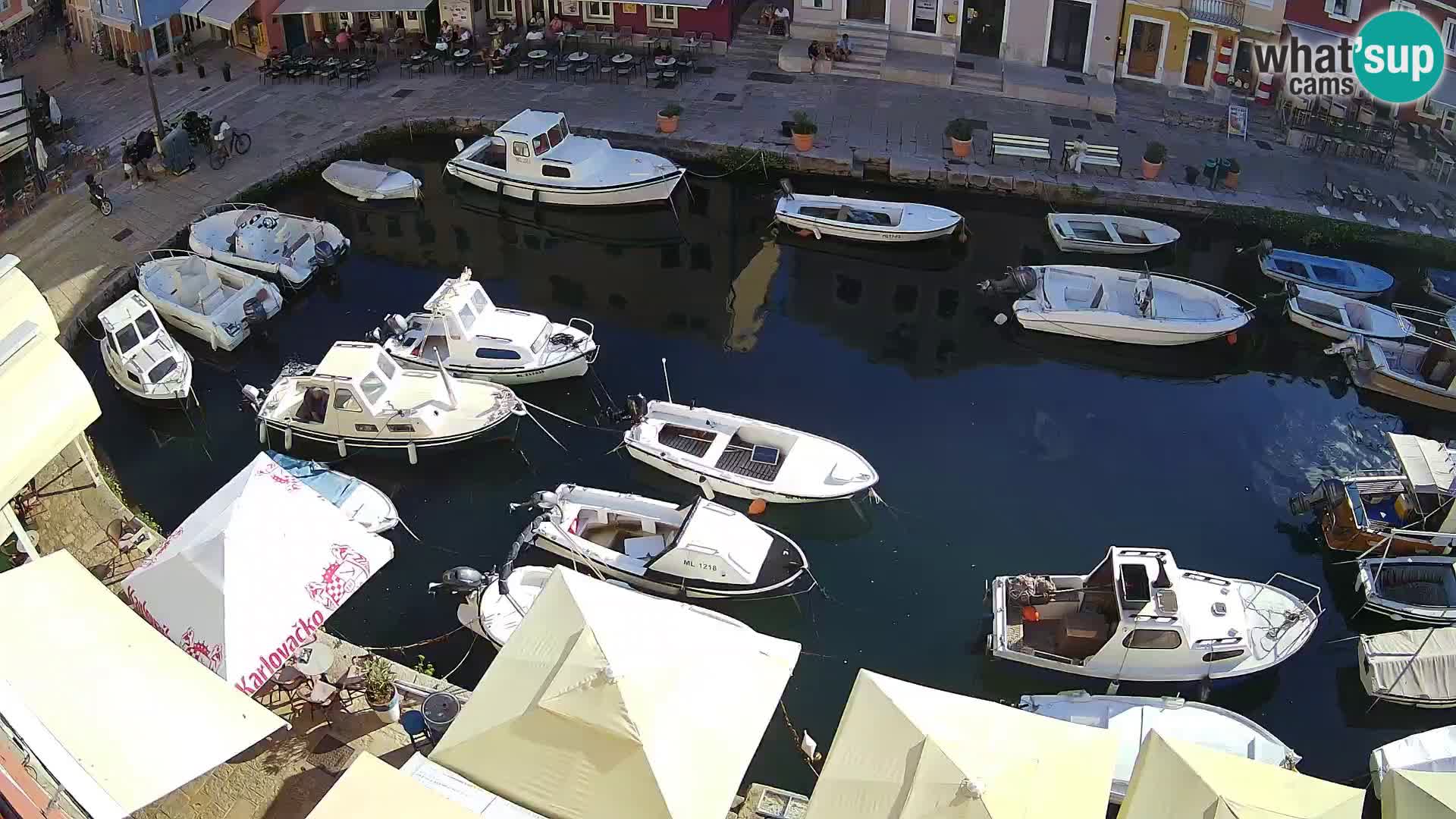 Veli Lošinj livecam – Carre