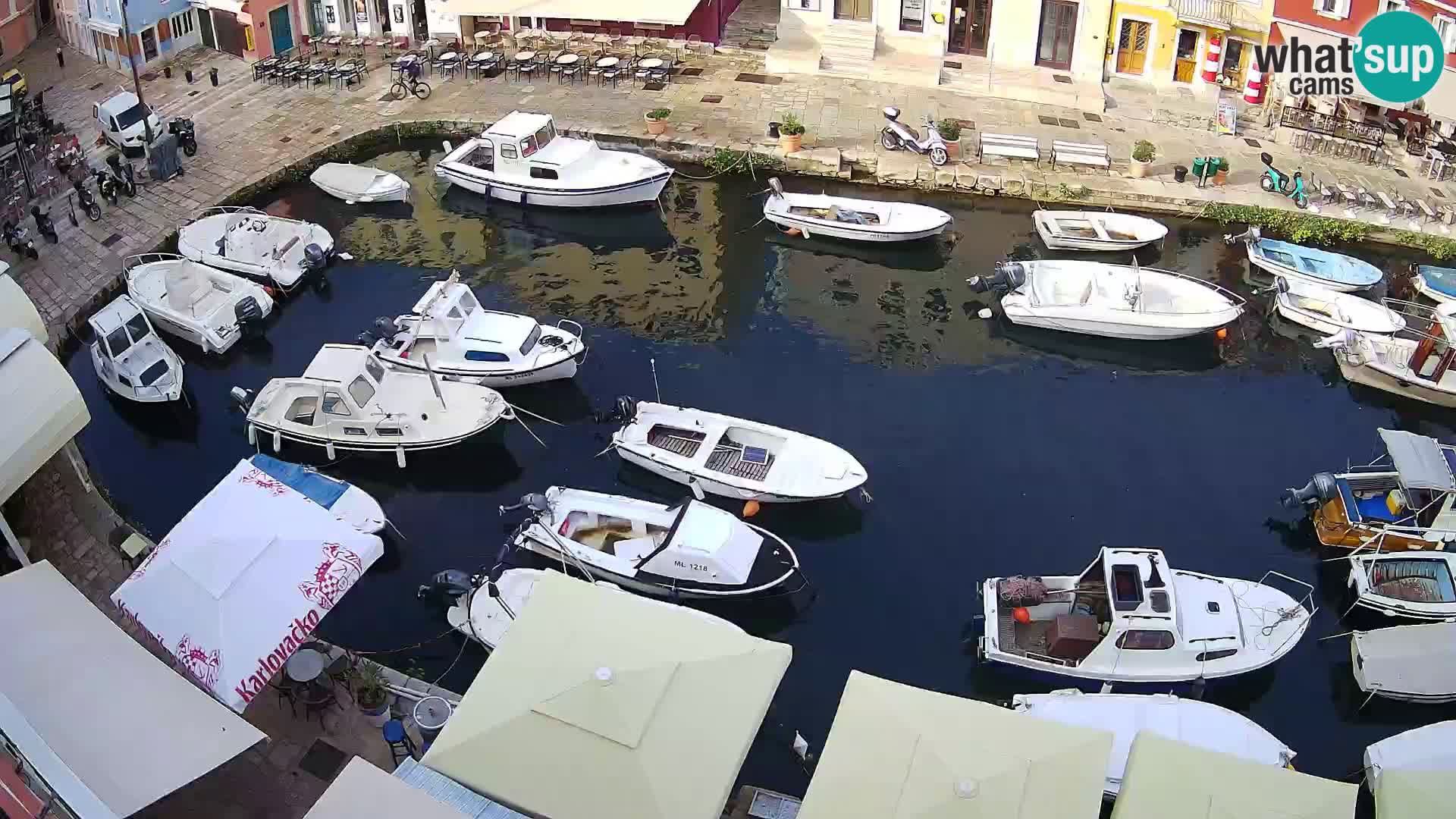 Veli Lošinj livecam – Carre