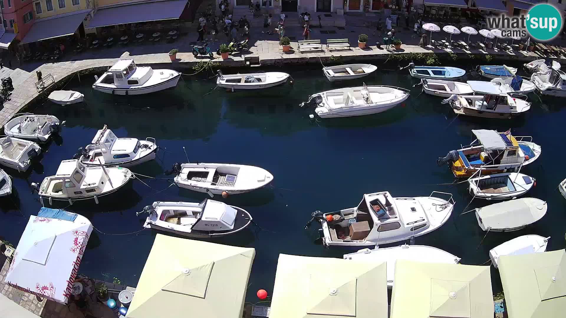 Veli Lošinj livecam – Carre