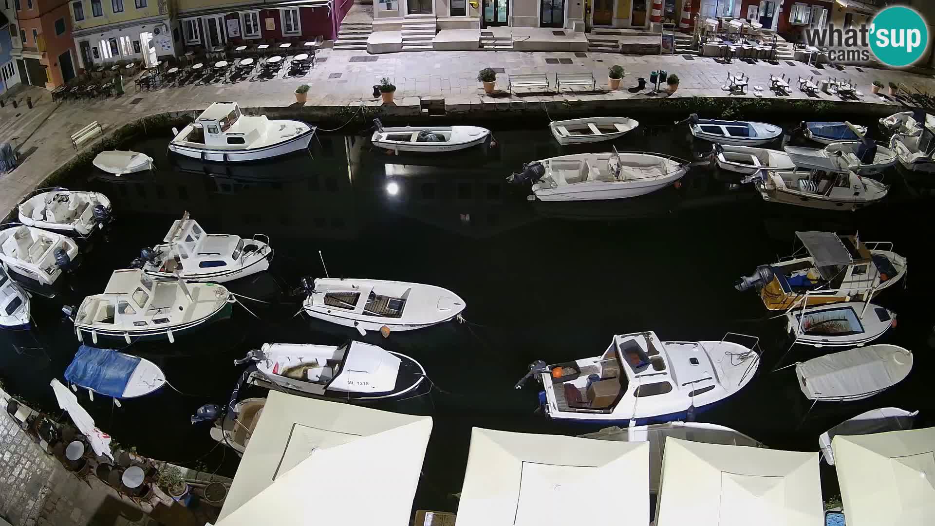 Veli Lošinj livecam – Carre