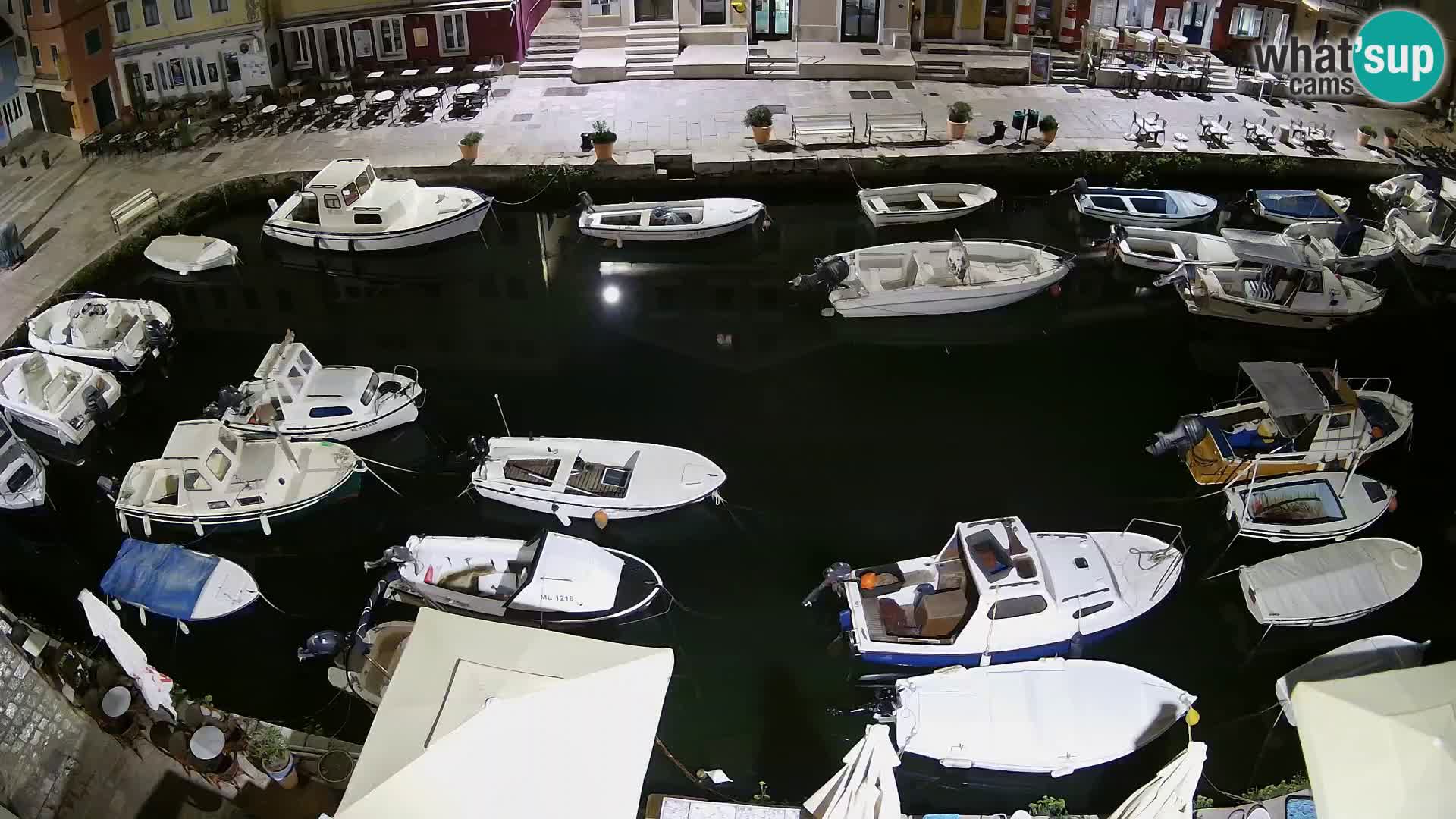 Veli Lošinj livecam – Carre