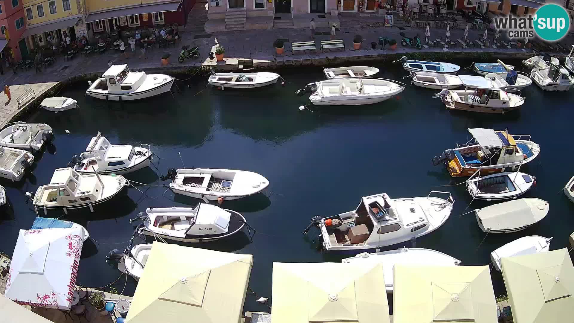 Veli Lošinj livecam – Carre