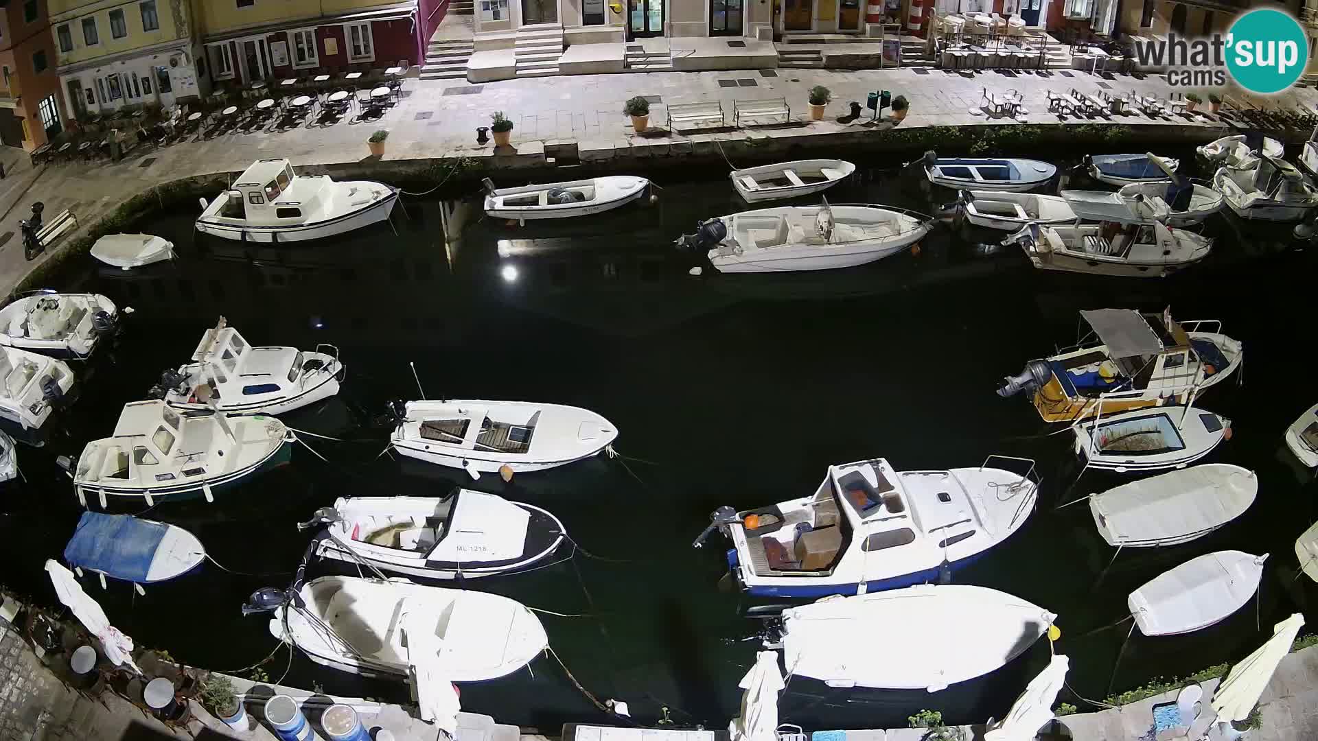 Veli Lošinj livecam – Carre
