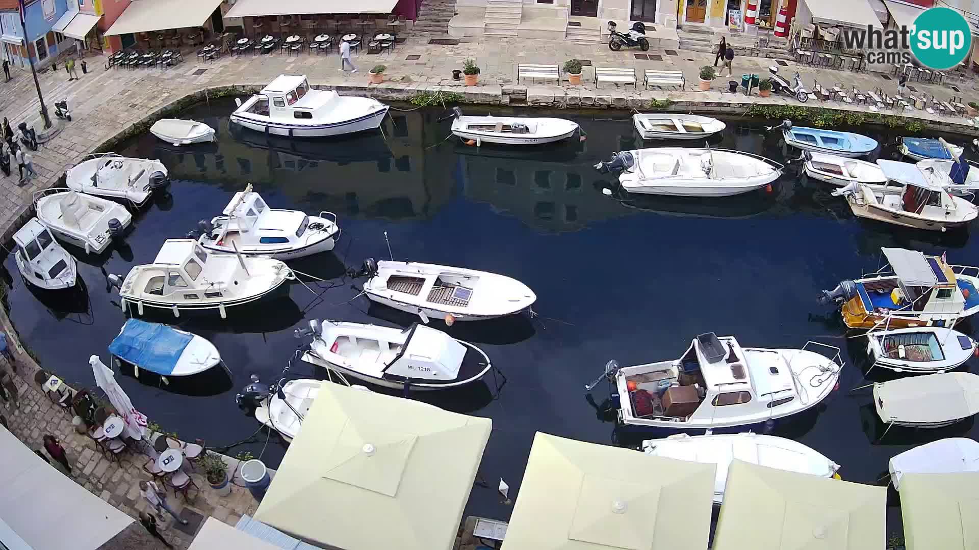 Veli Lošinj livecam – Carre
