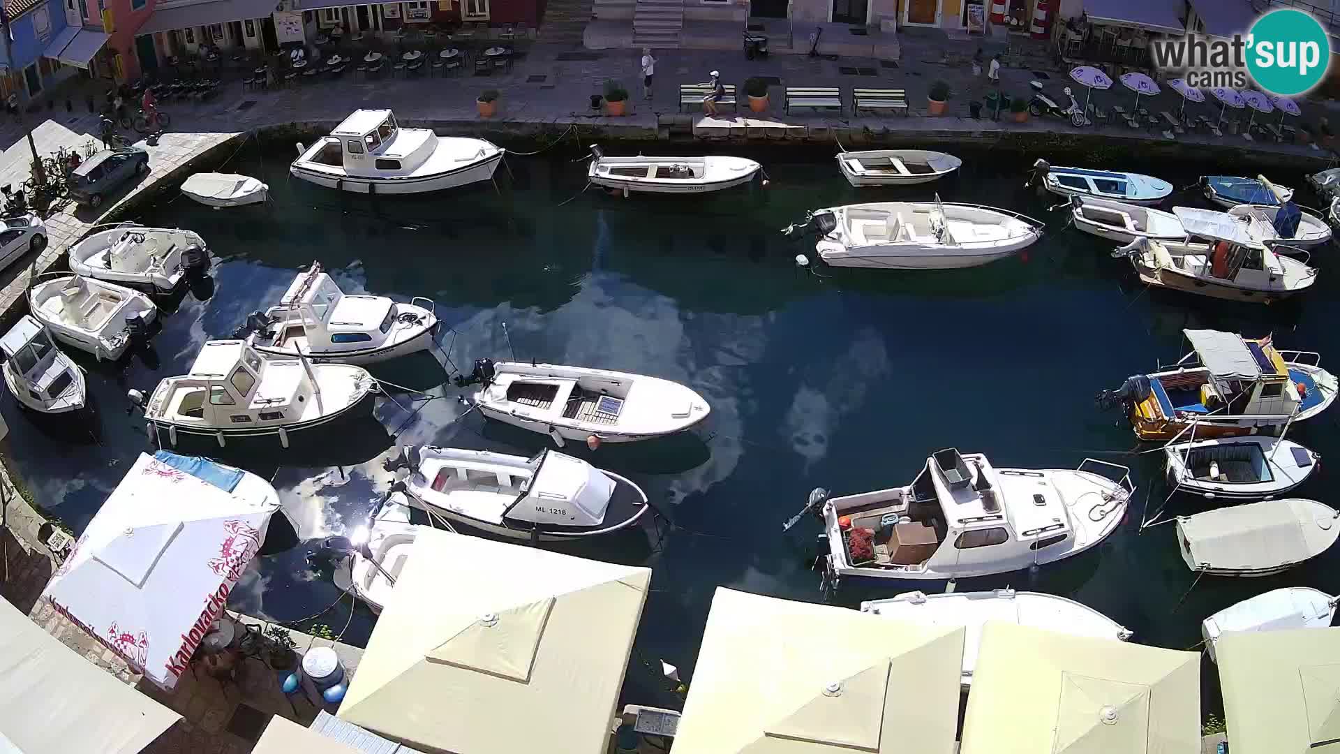 Veli Lošinj livecam – Carre