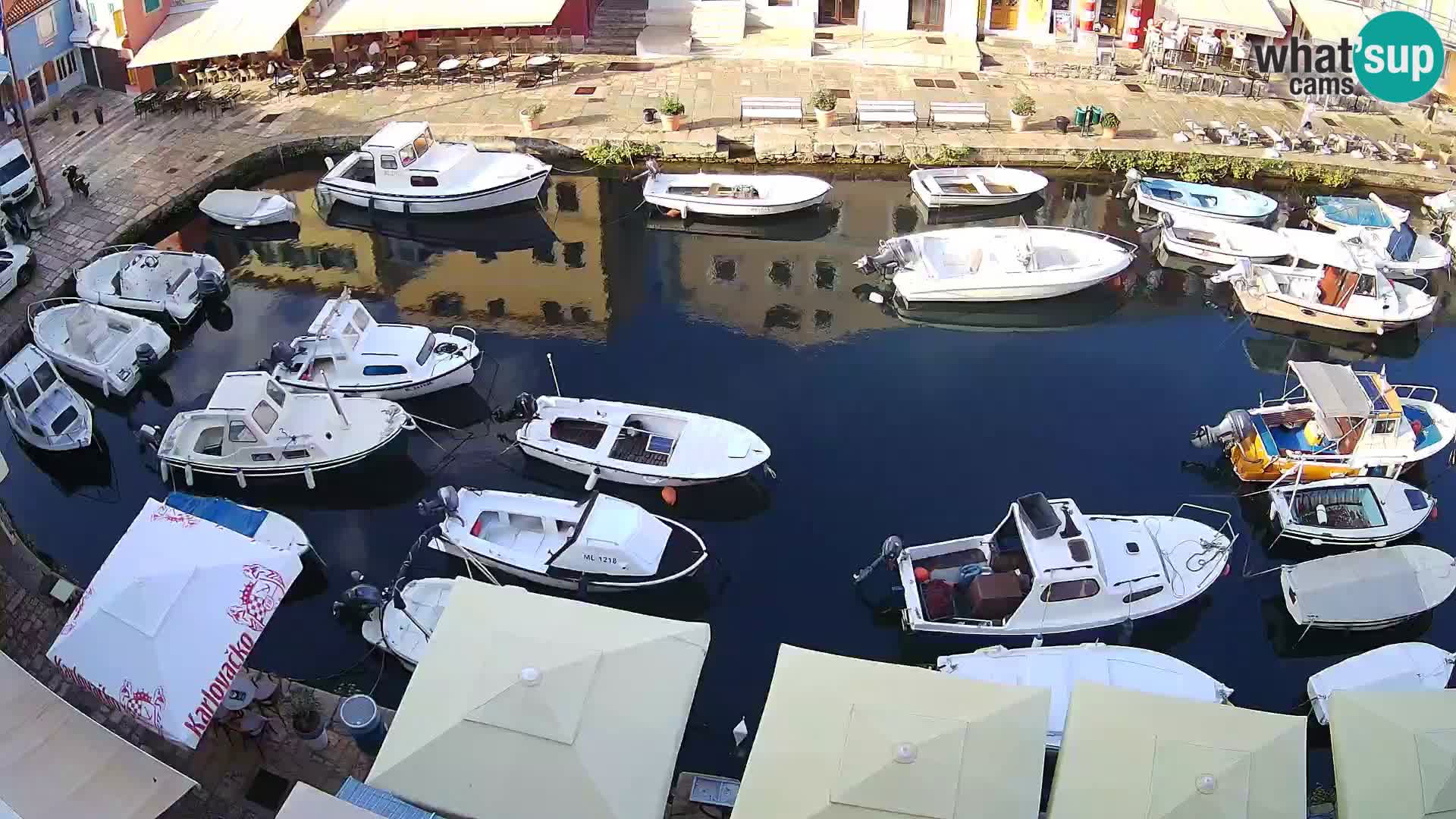 Veli Lošinj livecam – Carre
