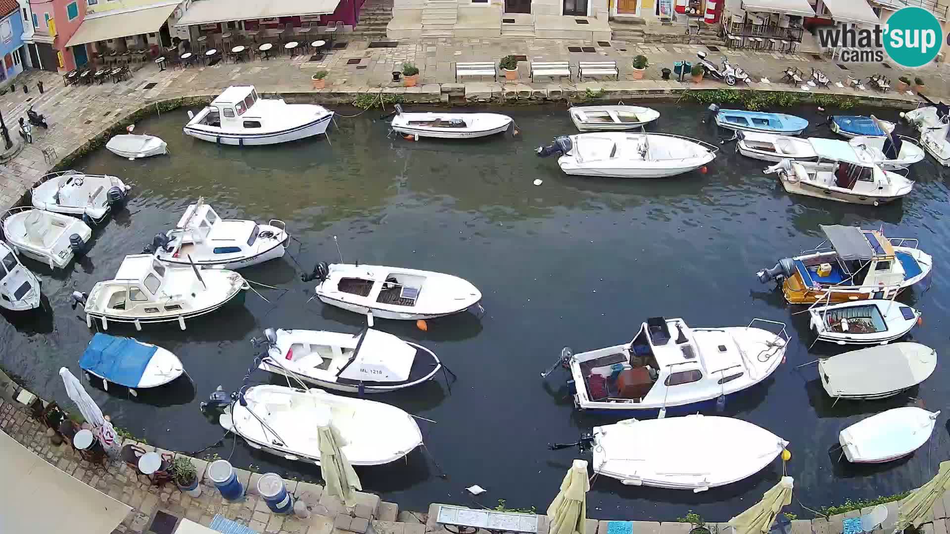 Veli Lošinj livecam – Carre