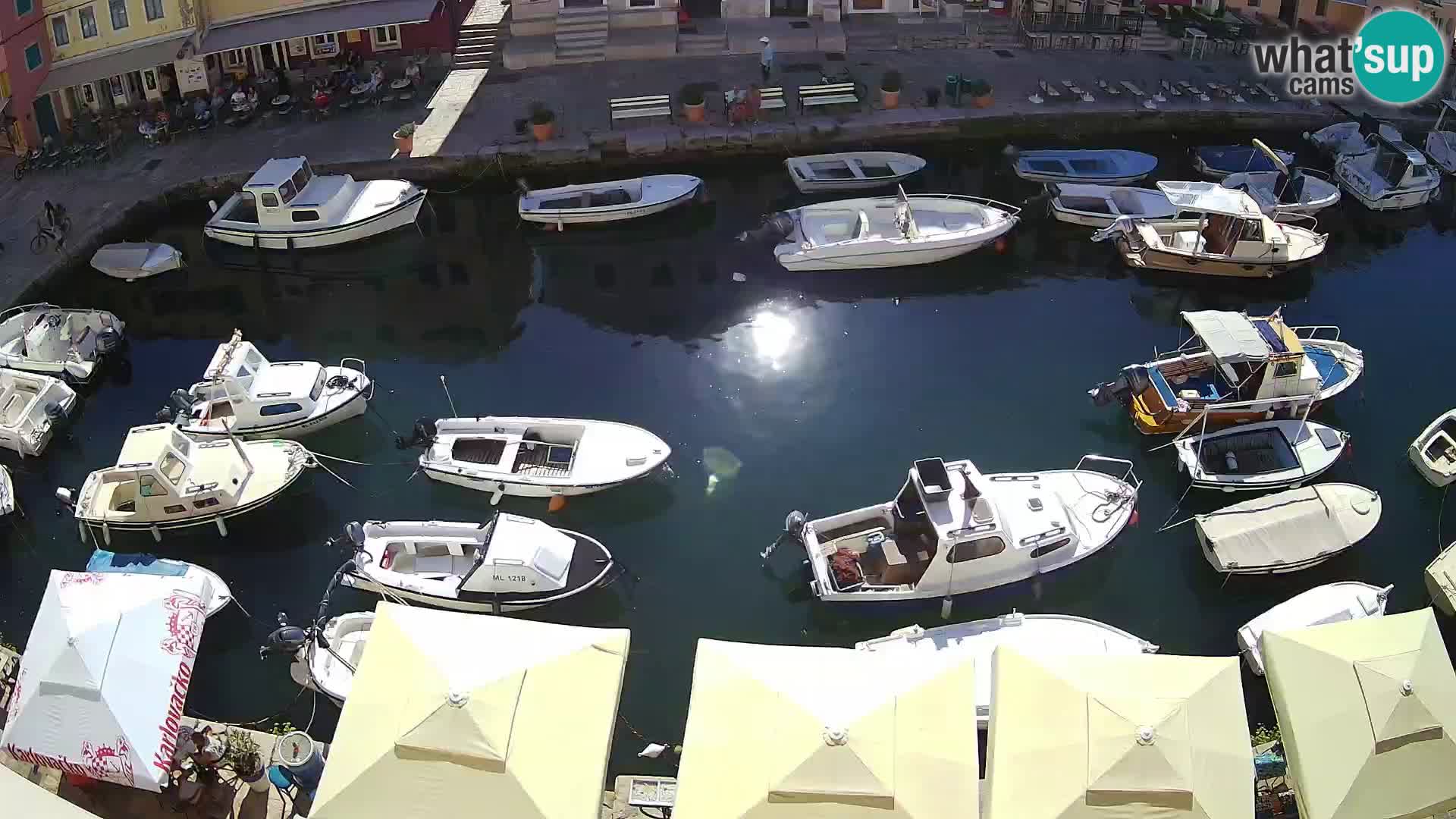 Veli Lošinj livecam – Carre