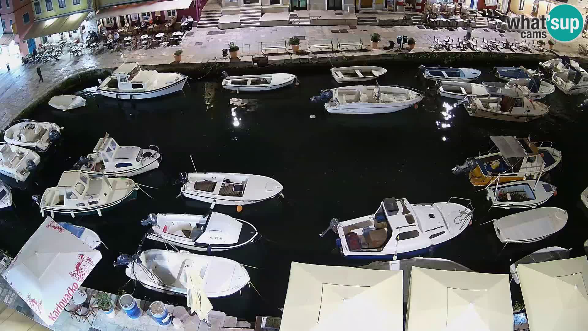 Veli Lošinj livecam – Carre