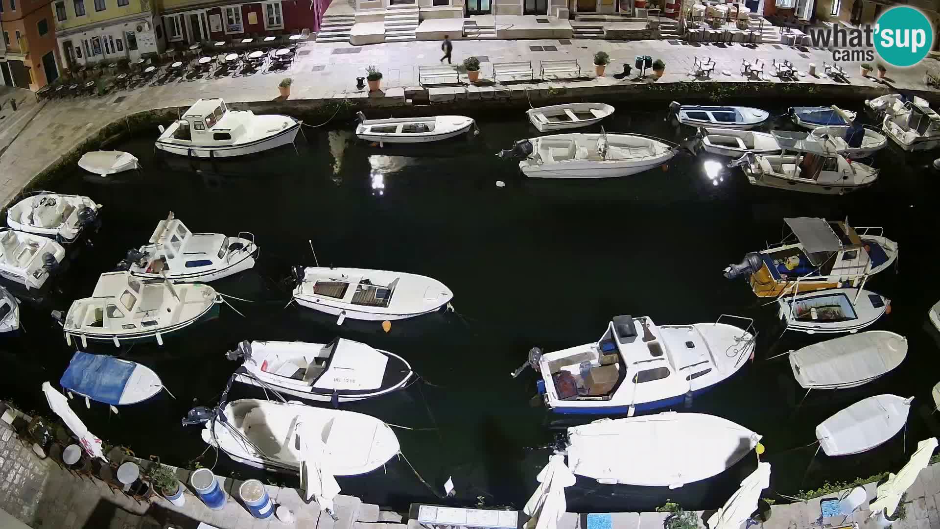 Veli Lošinj livecam – Carre
