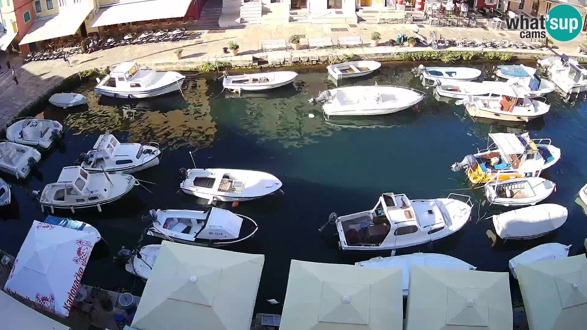 Veli Lošinj livecam – Carre