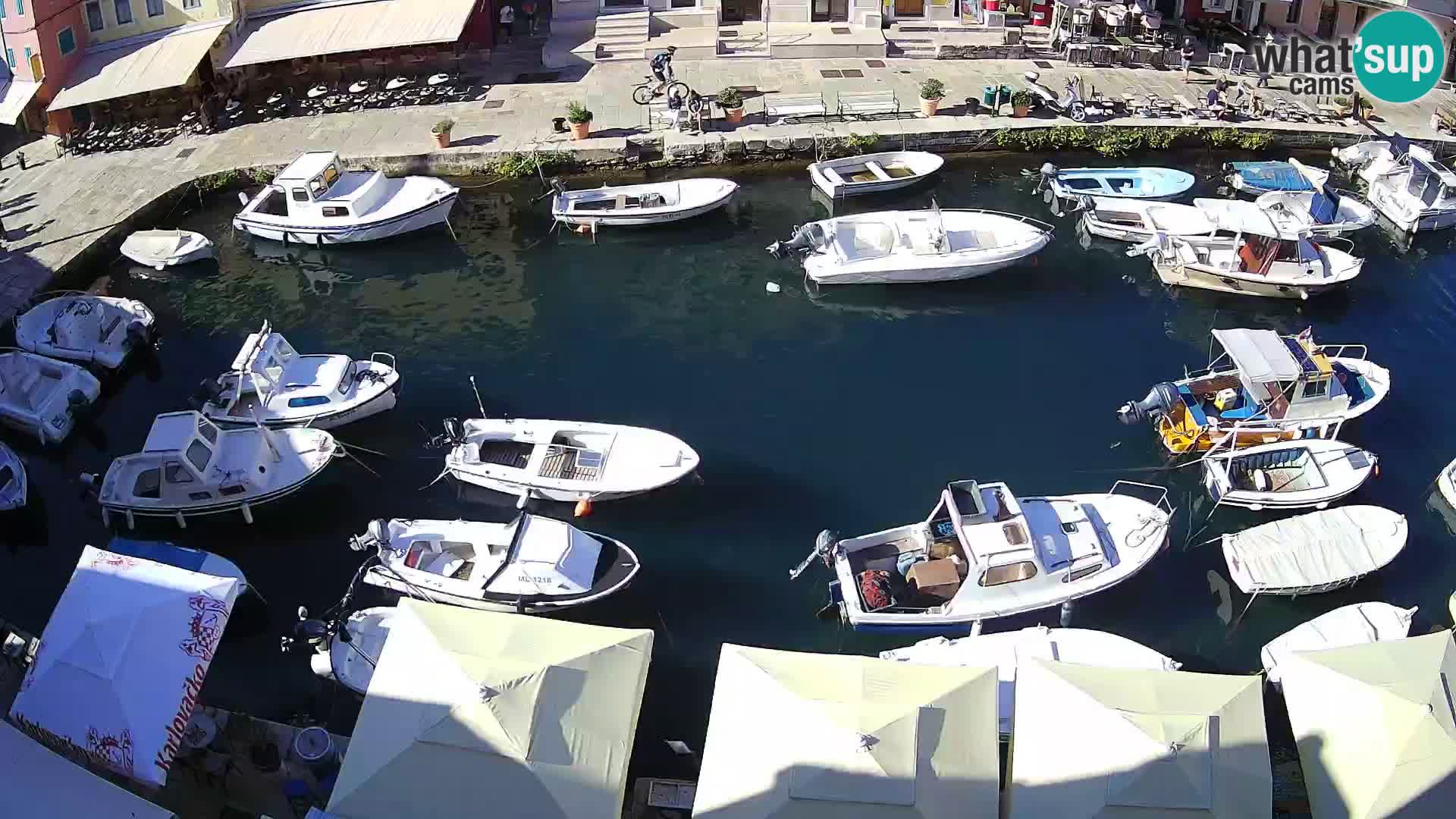 Veli Lošinj camera en vivo – plaza