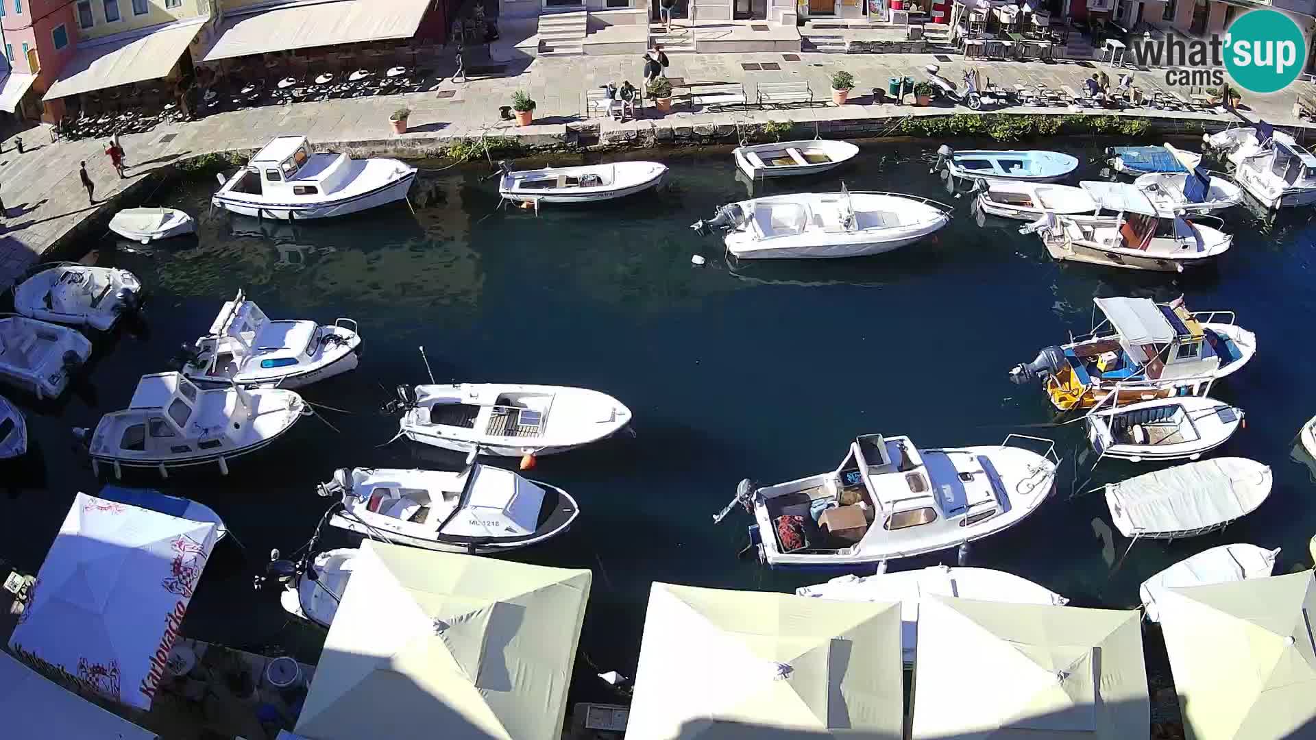 Veli Lošinj livecam – Carre