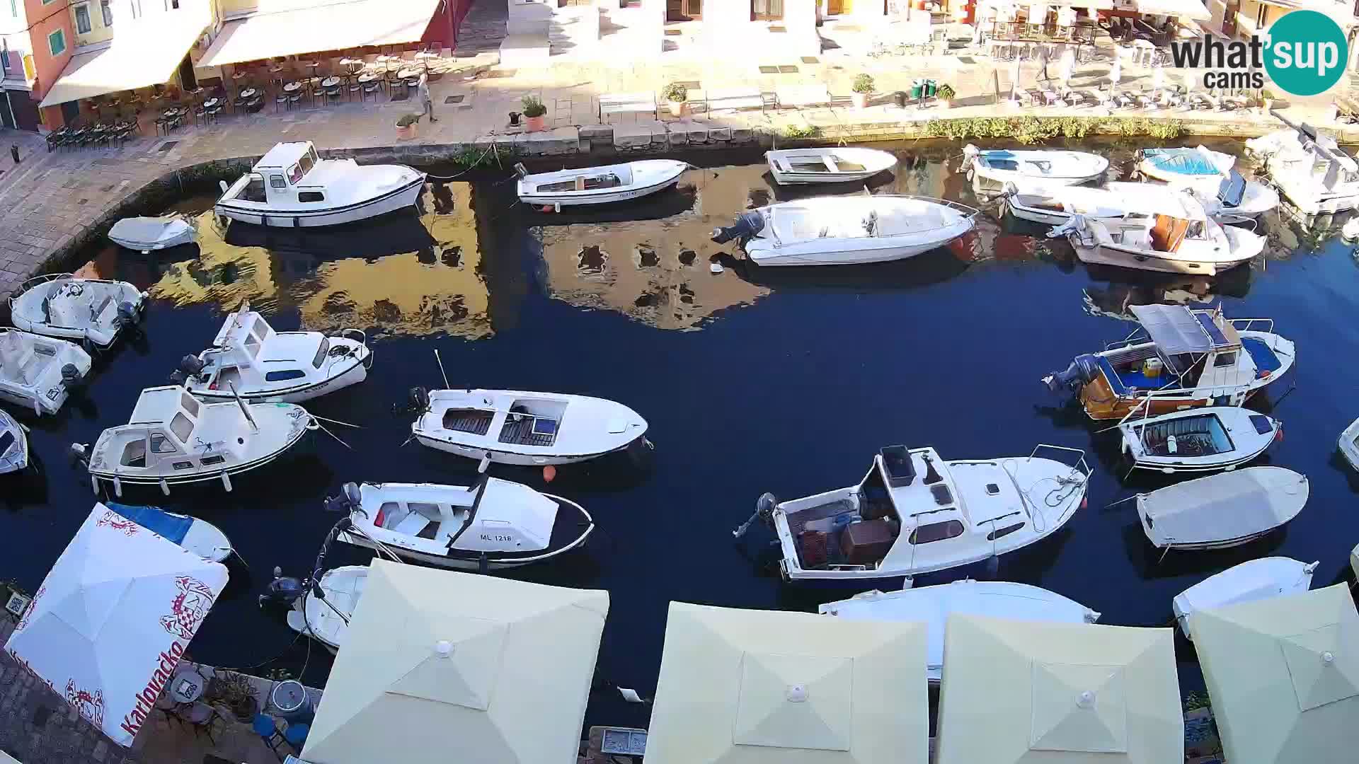 Veli Lošinj livecam – Carre