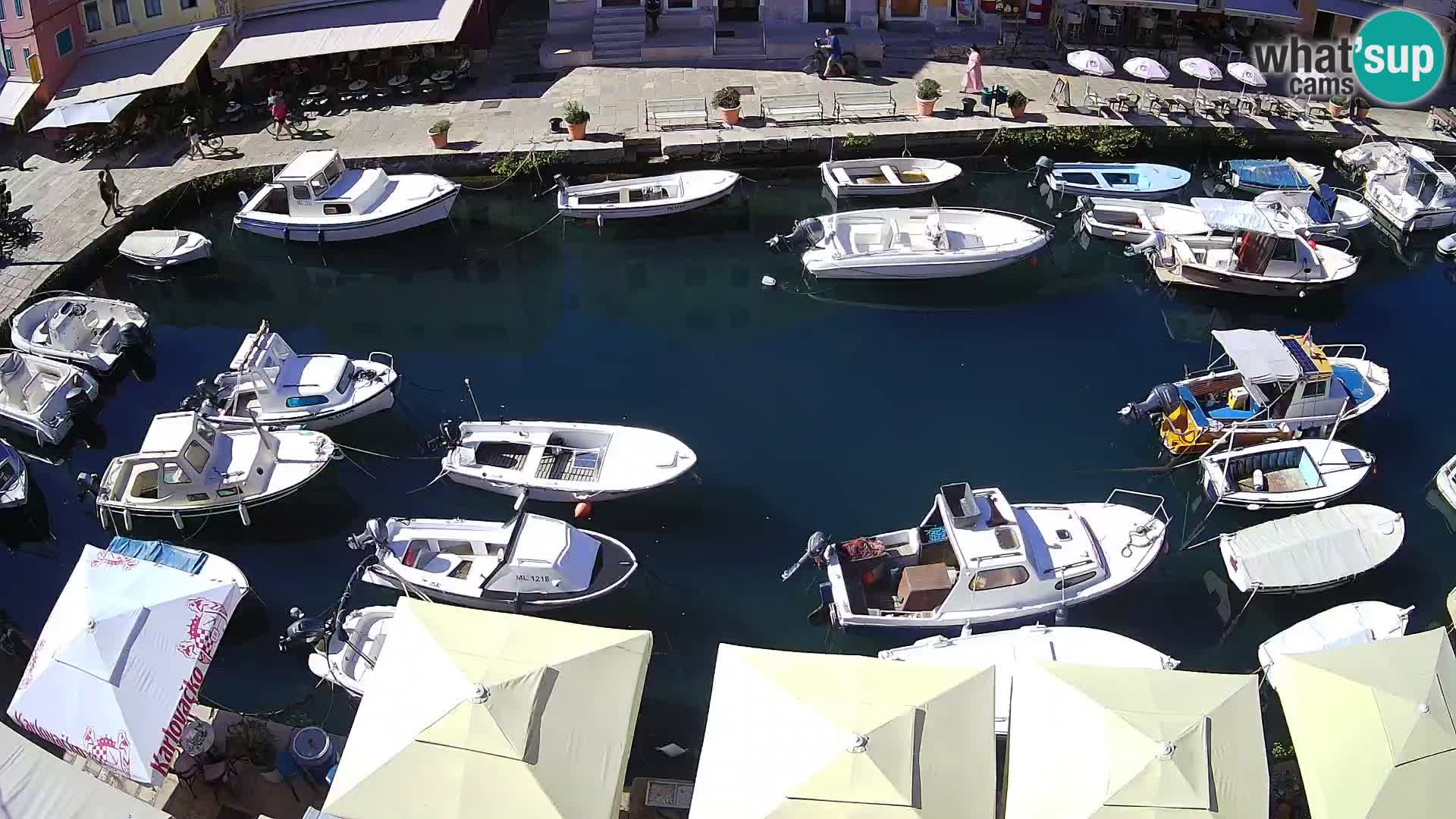 Veli Lošinj livecam – Carre