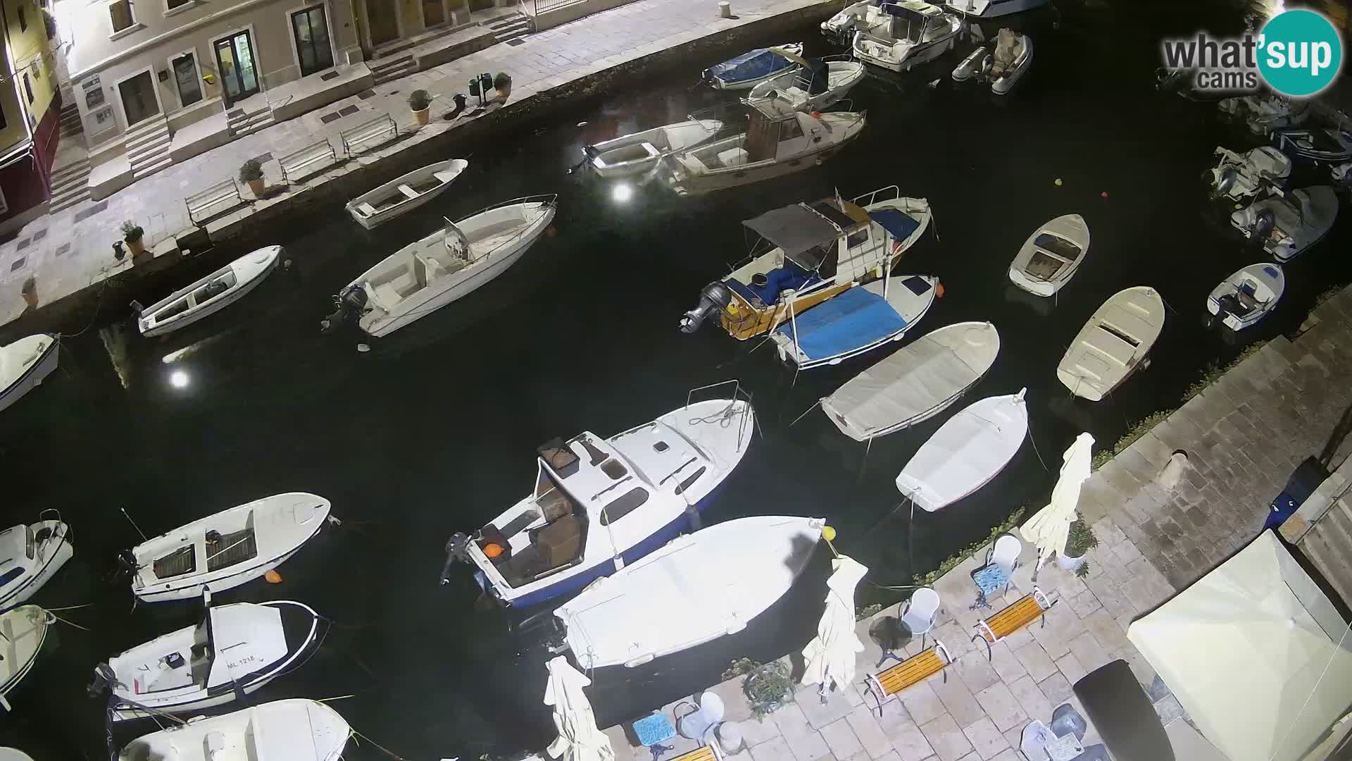 Veli Lošinj livecam – Carre