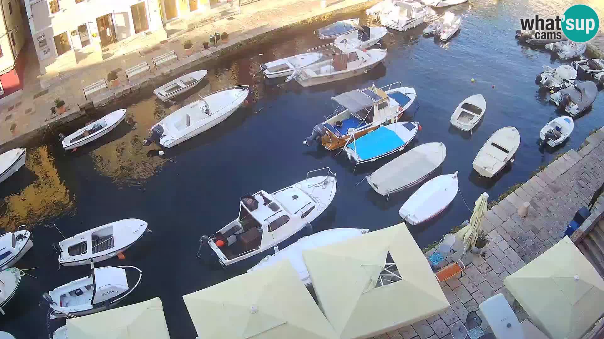 Veli Lošinj livecam – Carre