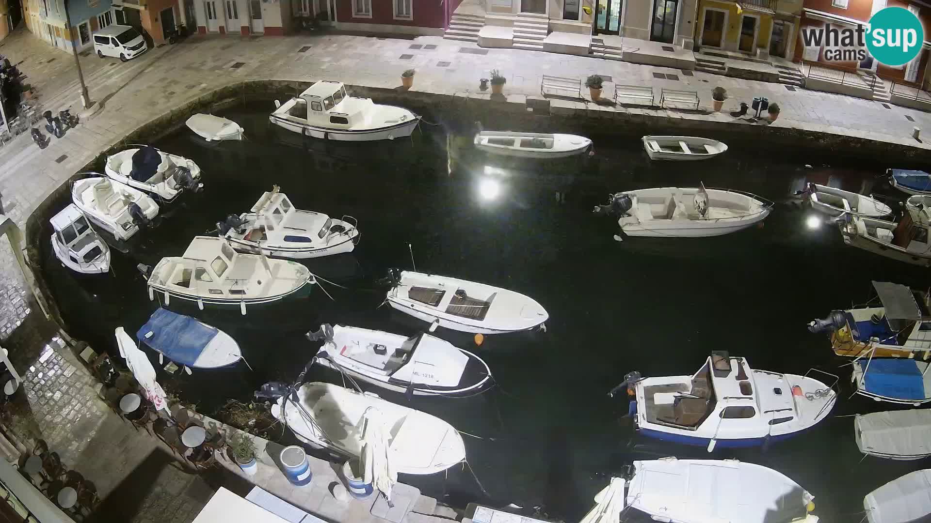 Veli Lošinj livecam – Carre