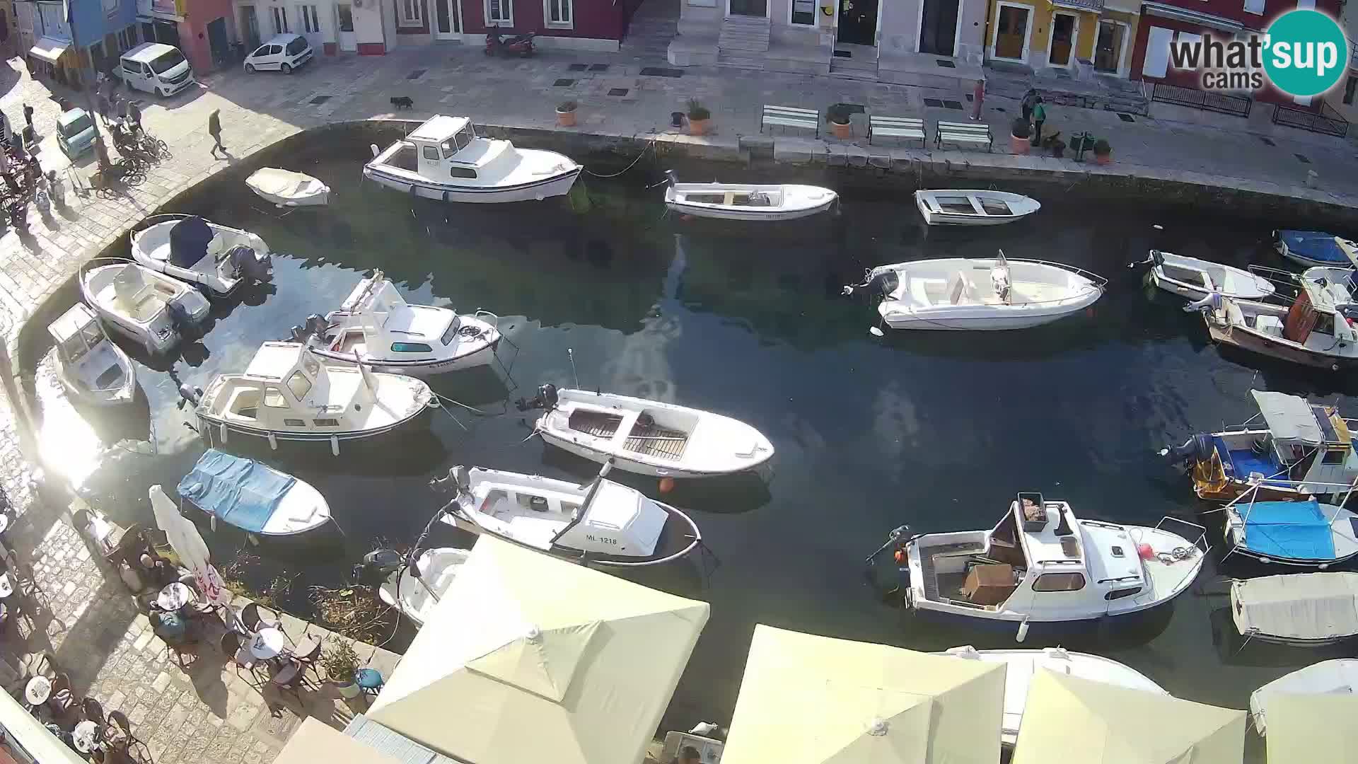 Veli Lošinj web kamera – trgič