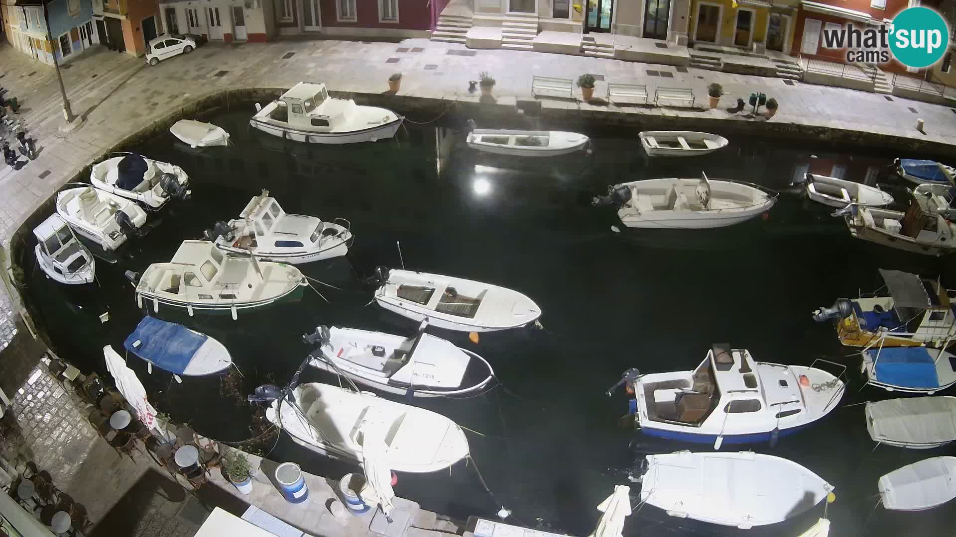 Veli Lošinj livecam – Carre