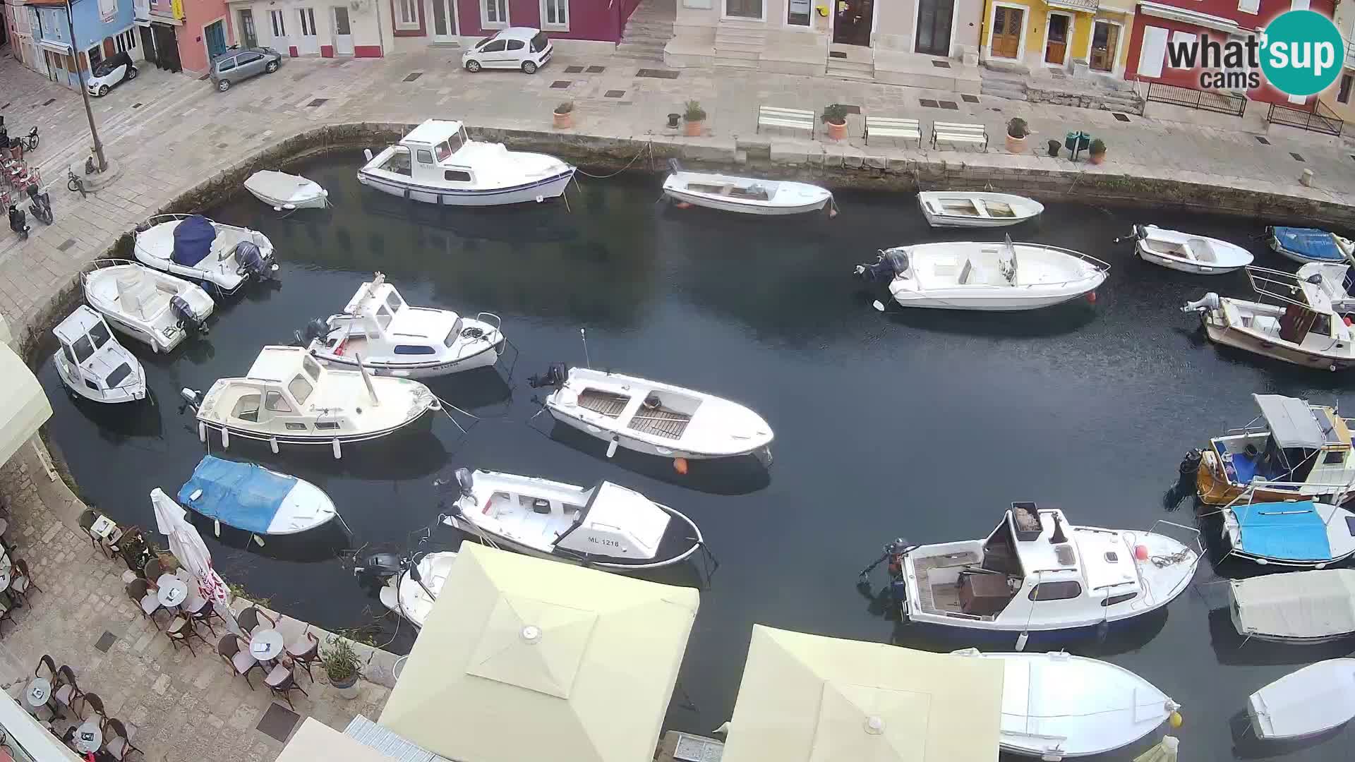 Veli Lošinj livecam – Carre