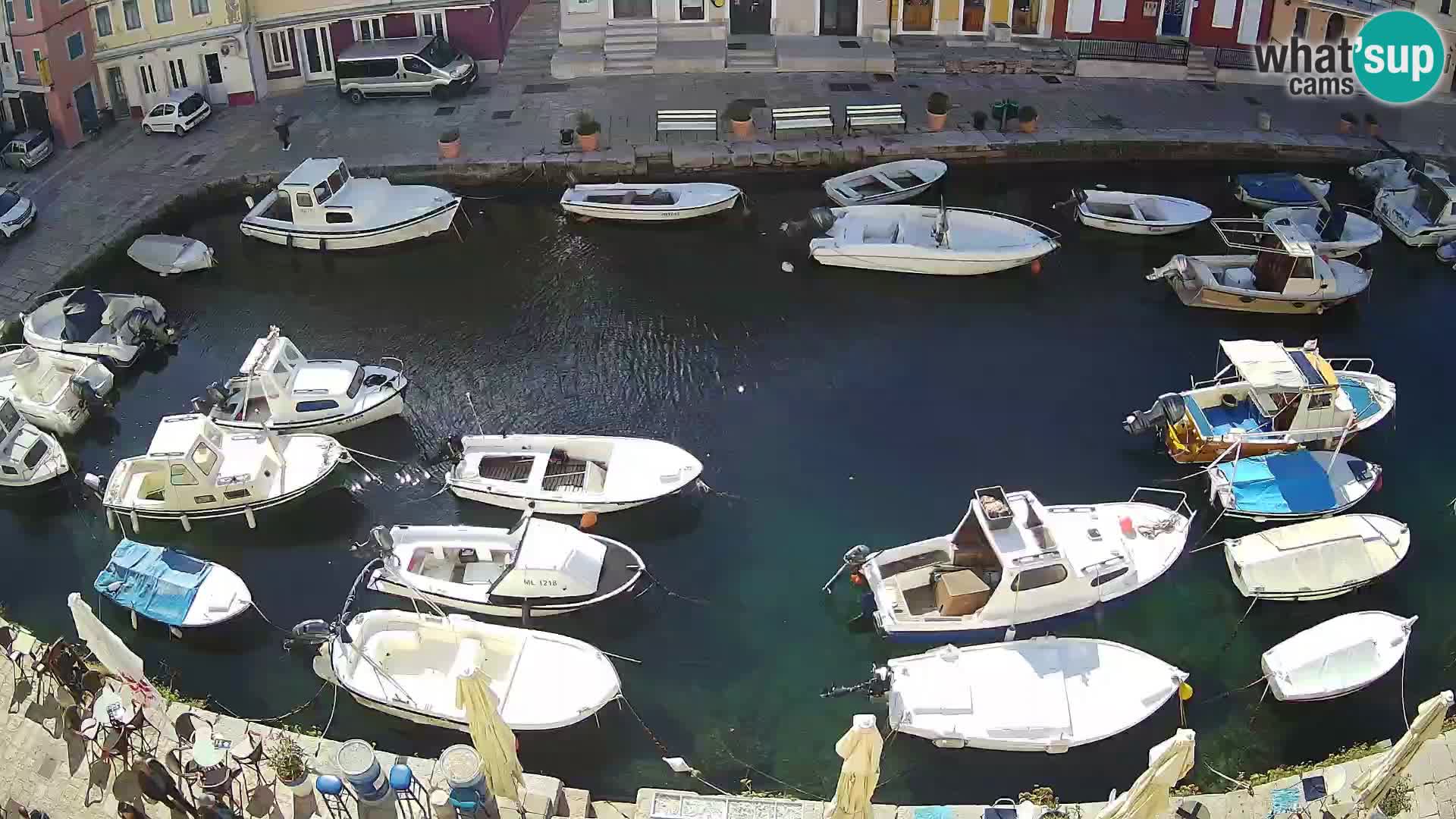 Veli Lošinj livecam – Carre