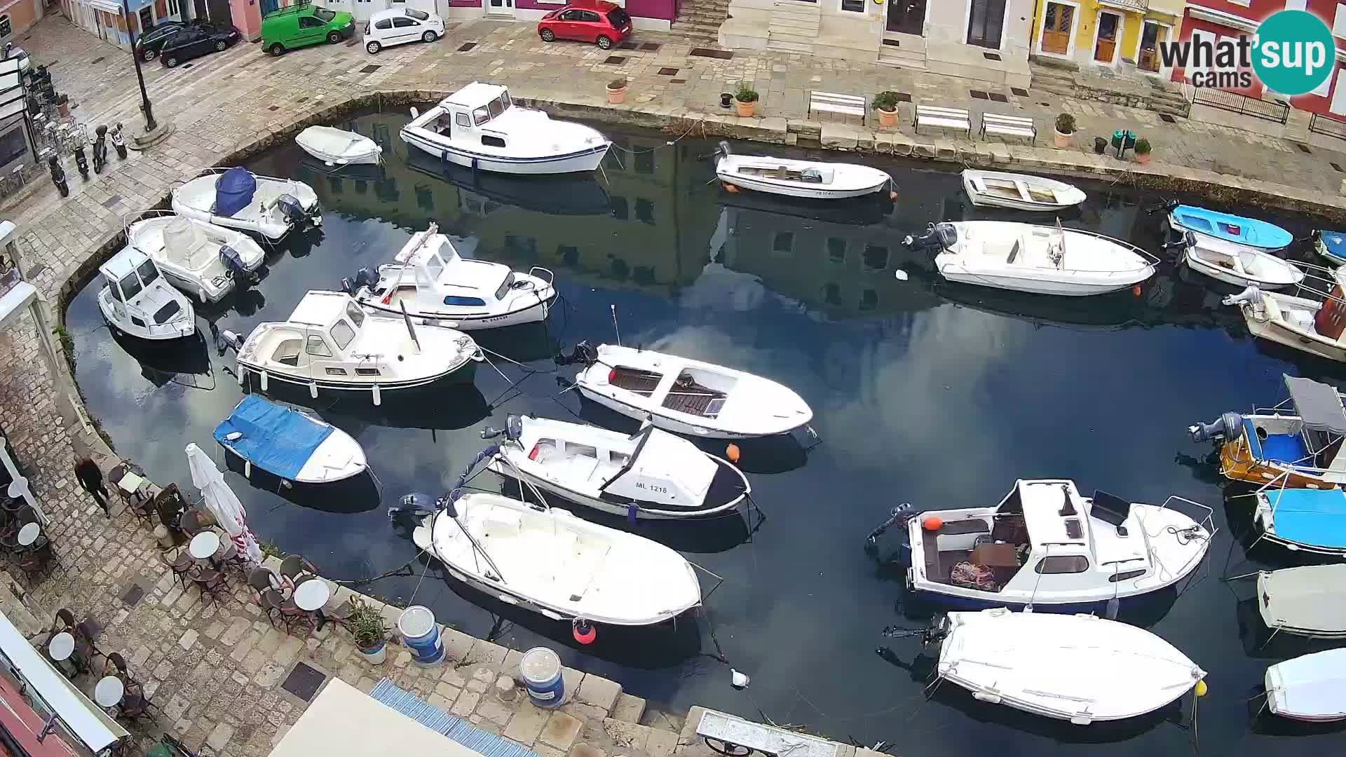 Veli Lošinj livecam – Carre