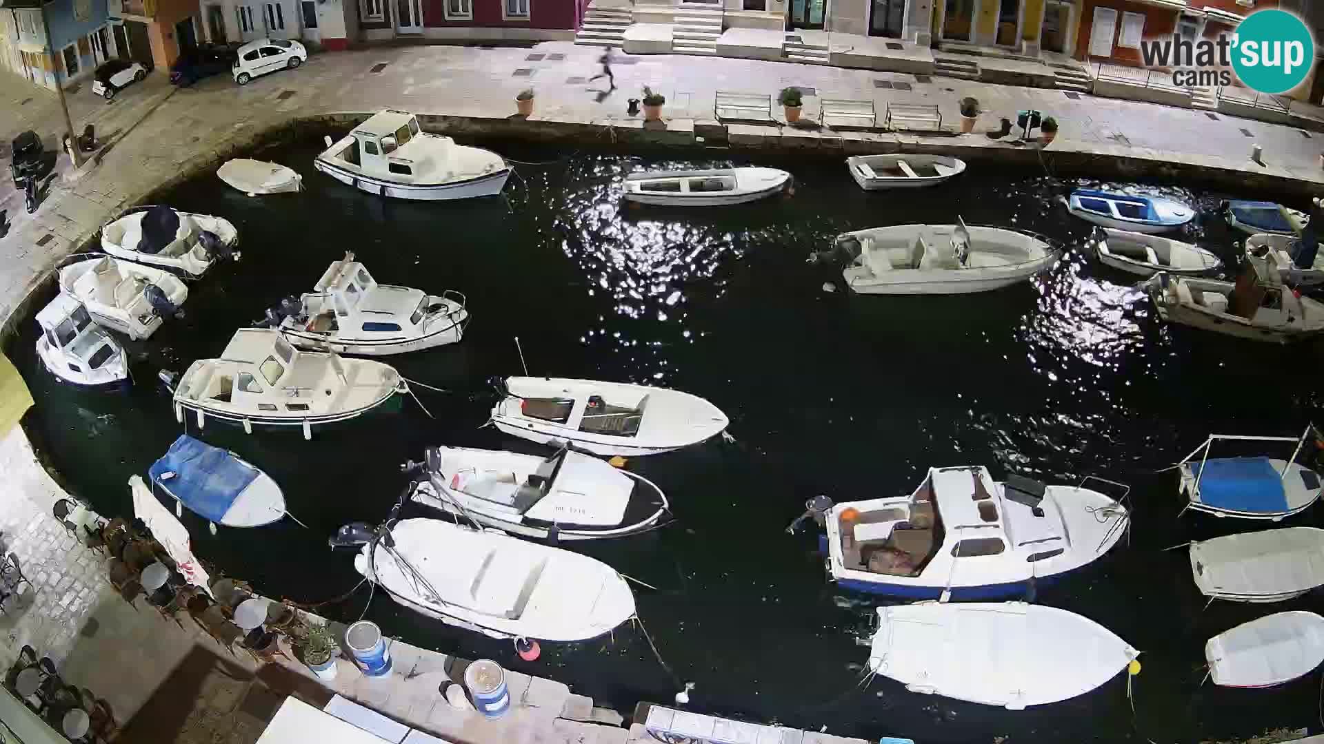 Veli Lošinj livecam – Carre