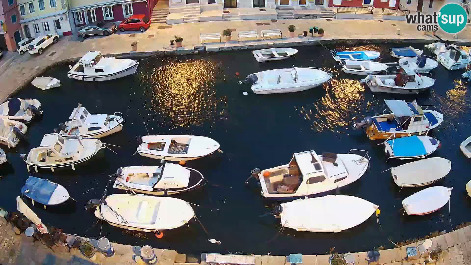 Veli Lošinj camera en vivo – plaza