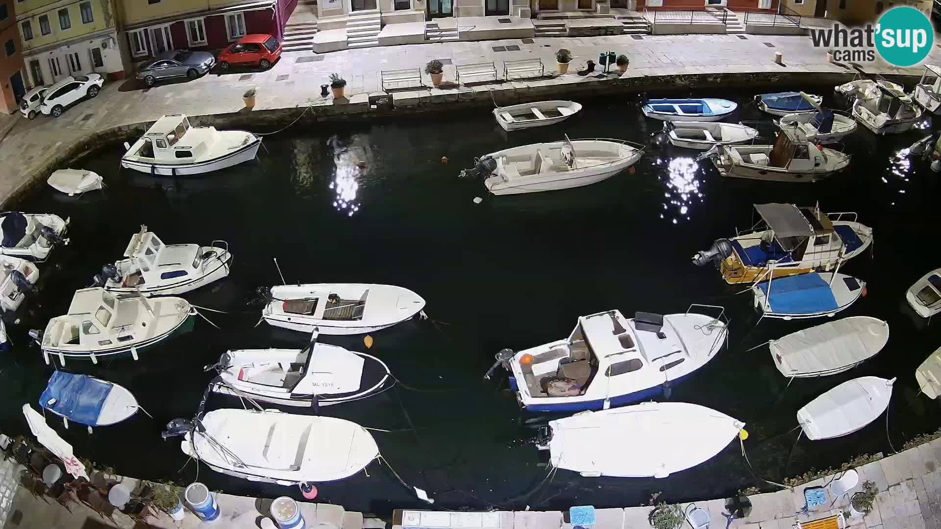 Veli Lošinj livecam – Carre