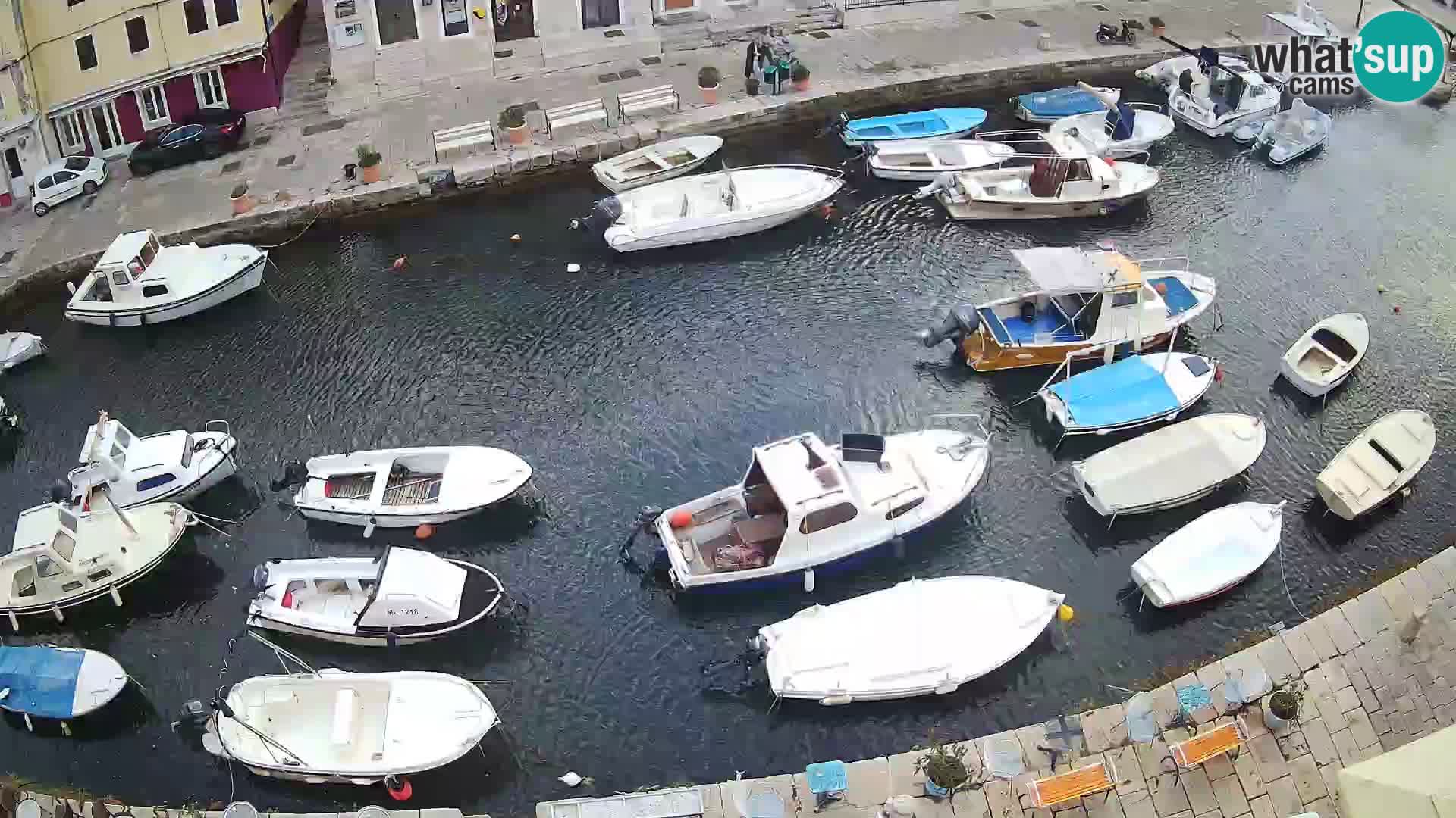 Veli Lošinj web kamera – trgič