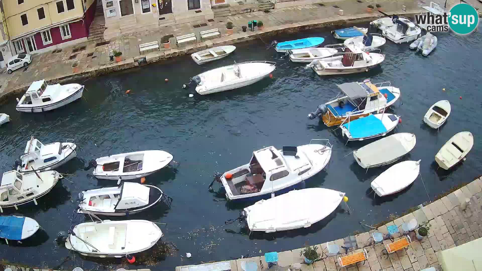 Veli Lošinj livecam – Carre