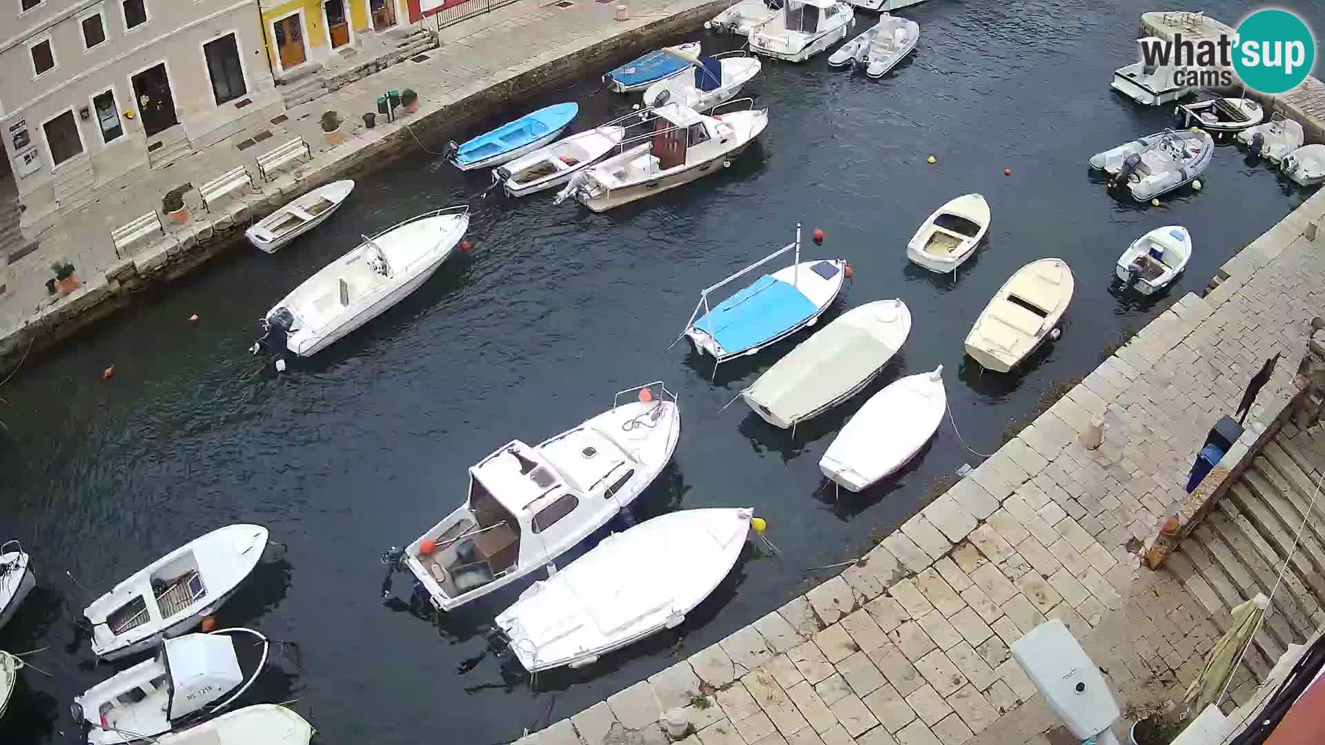 Veli Lošinj livecam – Carre