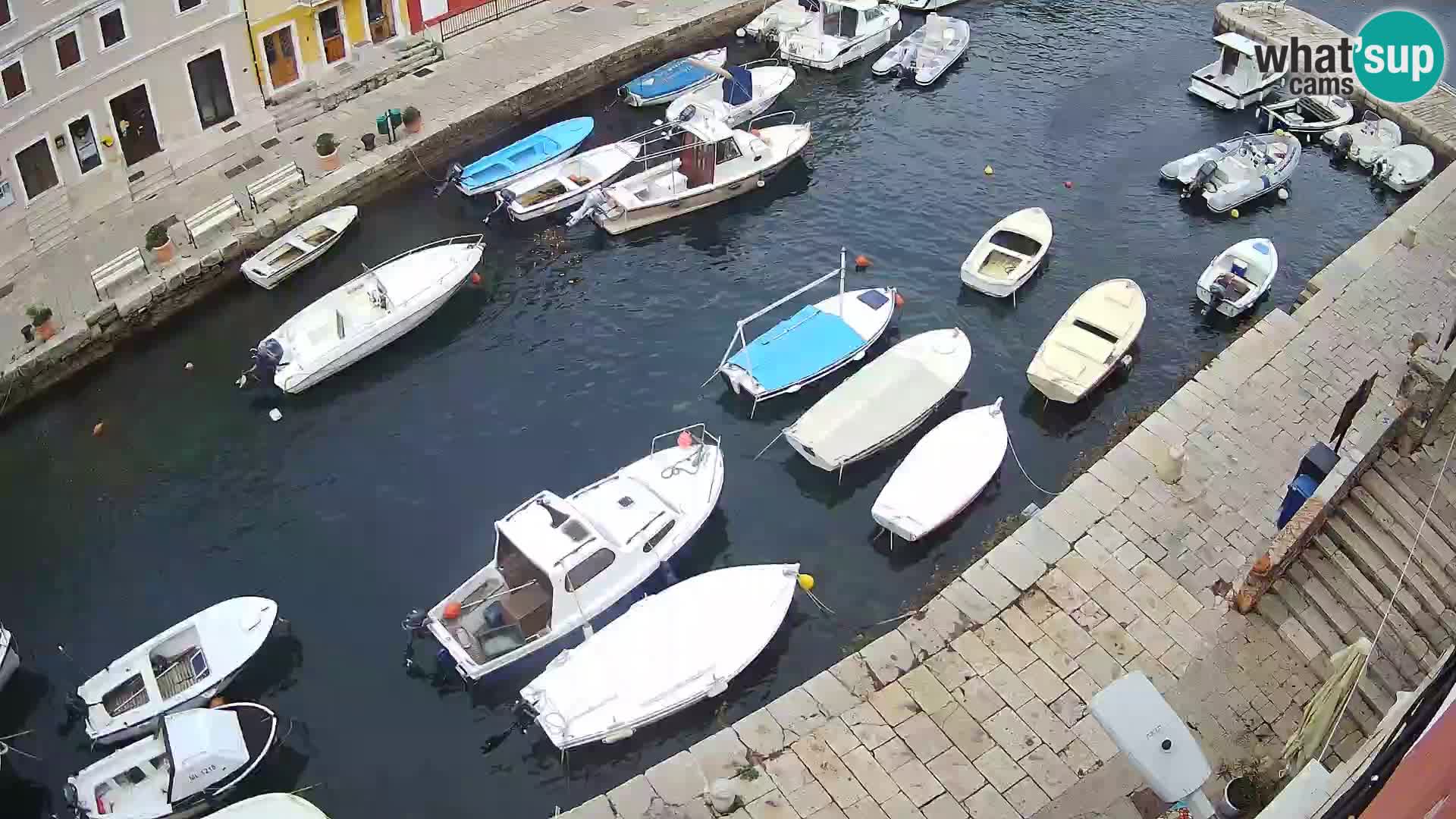 Veli Lošinj livecam – Carre