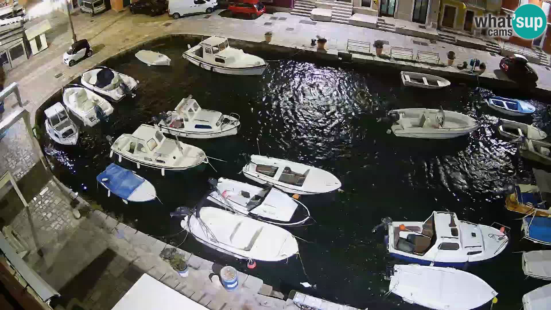 Veli Lošinj livecam – Carre