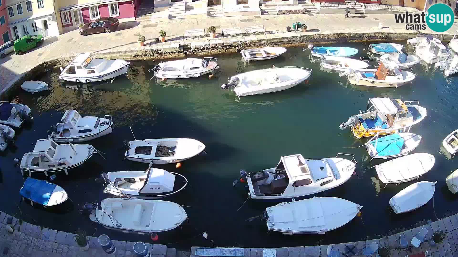 Veli Lošinj livecam – Carre
