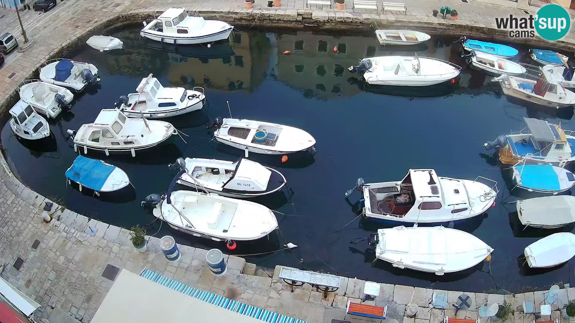 Veli Lošinj livecam – Carre