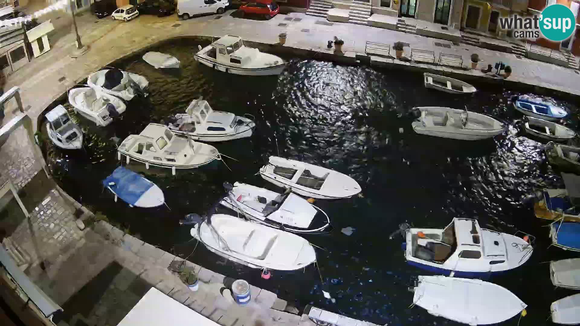 Veli Lošinj web kamera – trgič