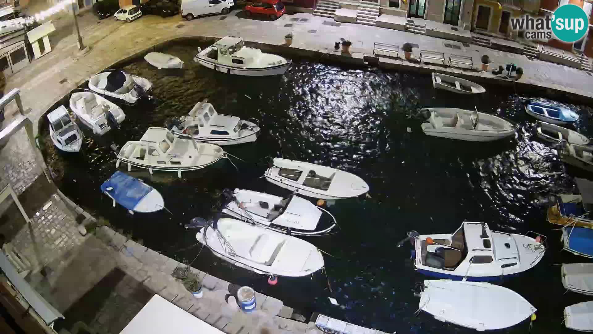 Veli Lošinj livecam – Carre