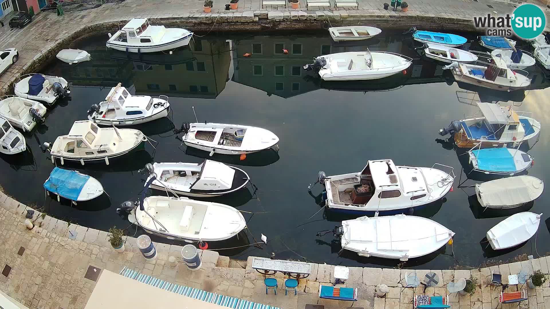 Veli Lošinj web kamera – trgič