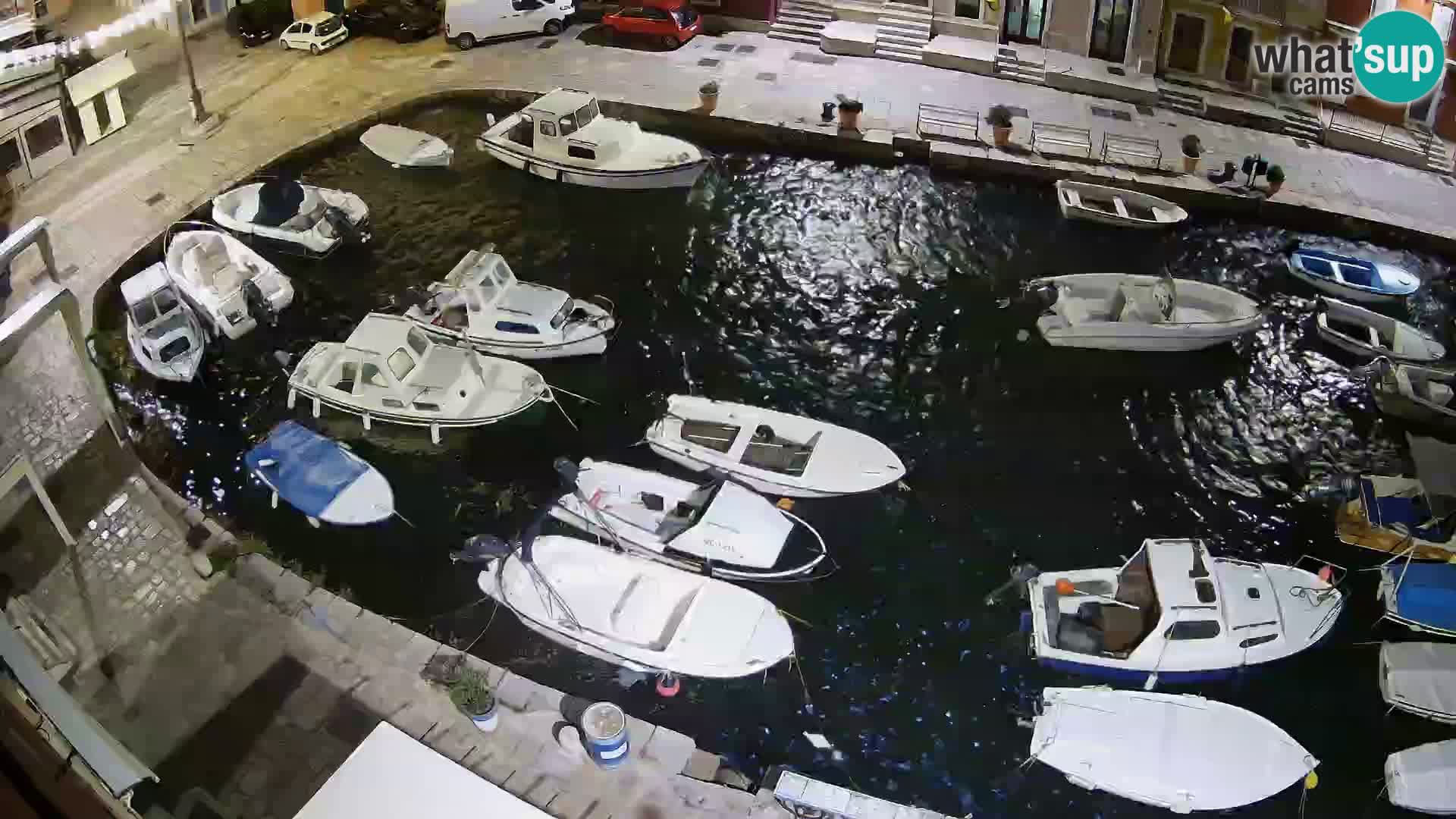 Veli Lošinj livecam – Carre