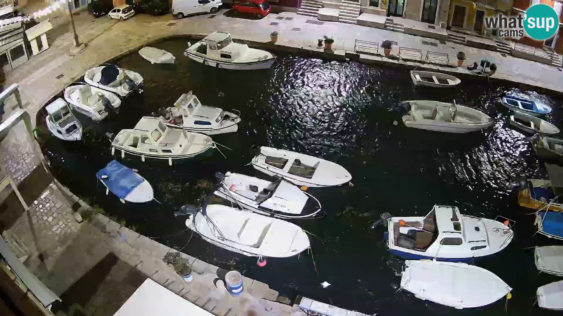 Veli Lošinj livecam – Carre