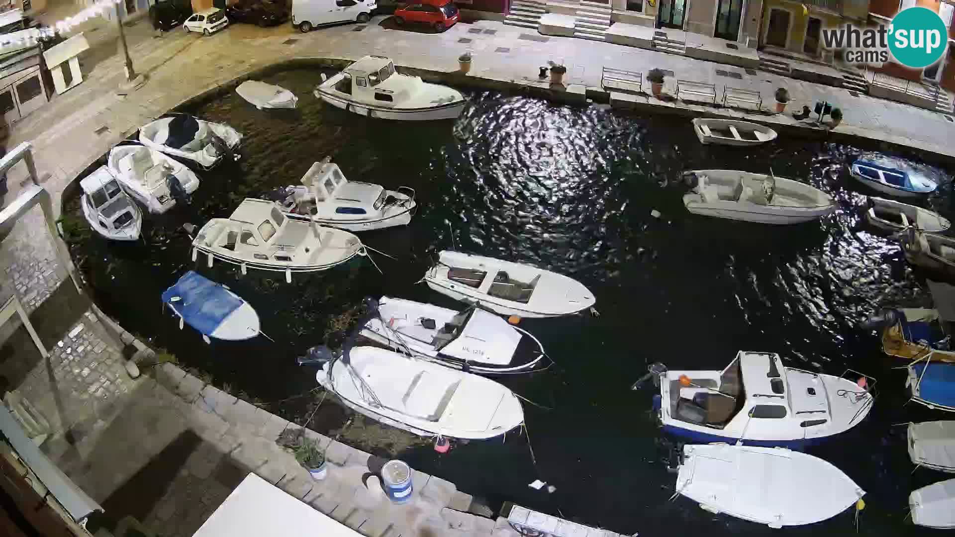 Veli Lošinj livecam – Carre