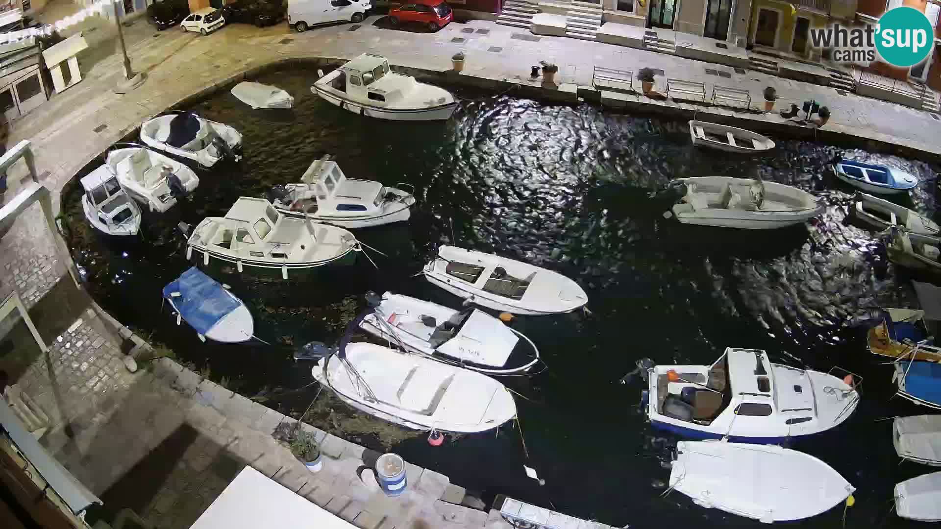 Veli Lošinj livecam – Carre