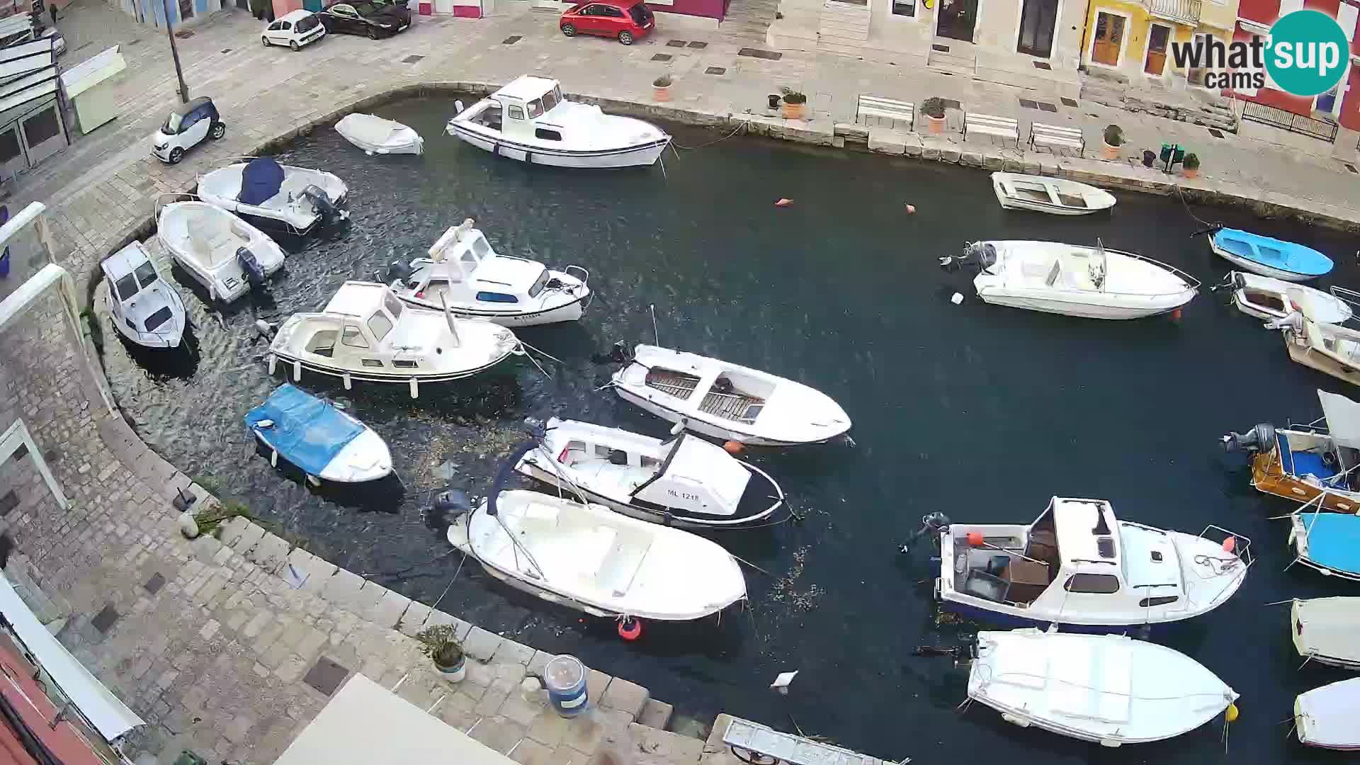 Veli Lošinj camera en vivo – plaza
